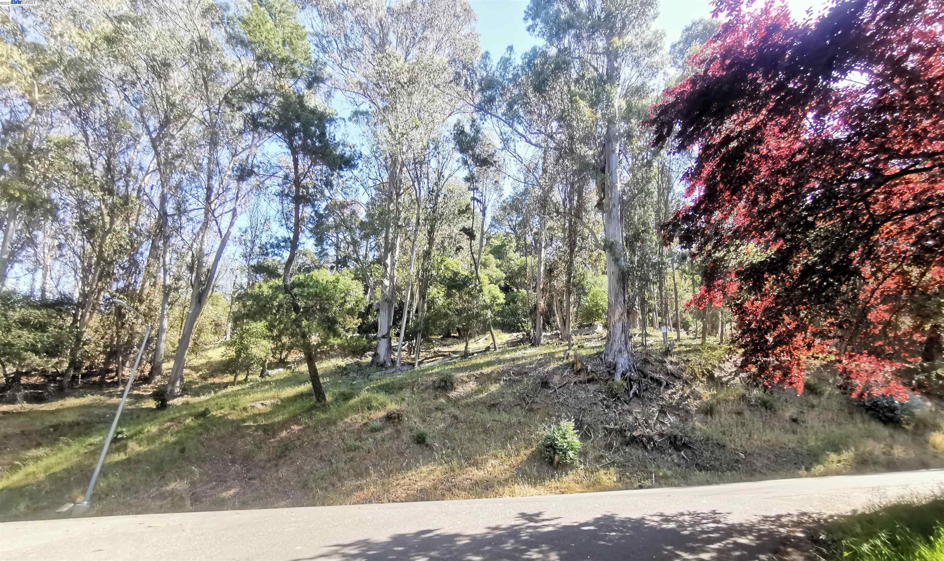 Ascot Dr., OAKLAND, California 94611, ,Lots And Land,For Sale,Ascot Dr.,40965595