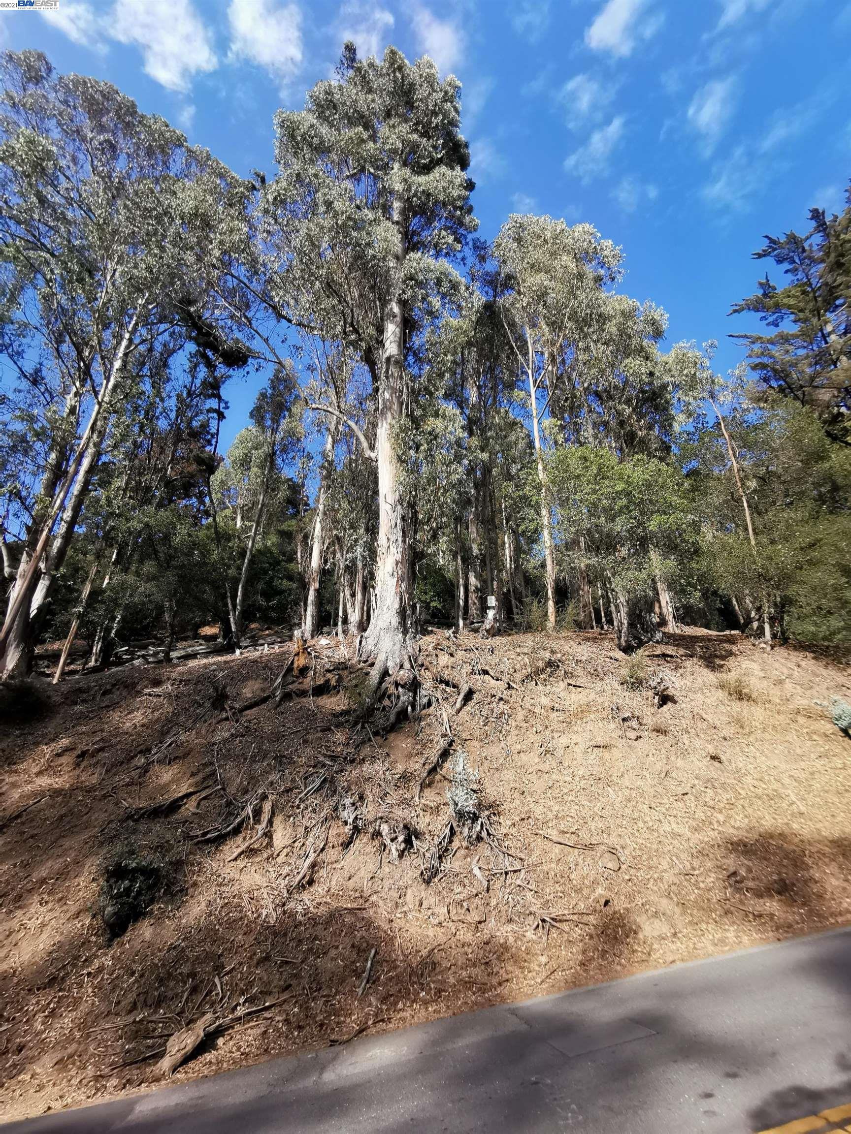 Ascot Dr., OAKLAND, California 94611, ,Lots And Land,For Sale,Ascot Dr.,40965595