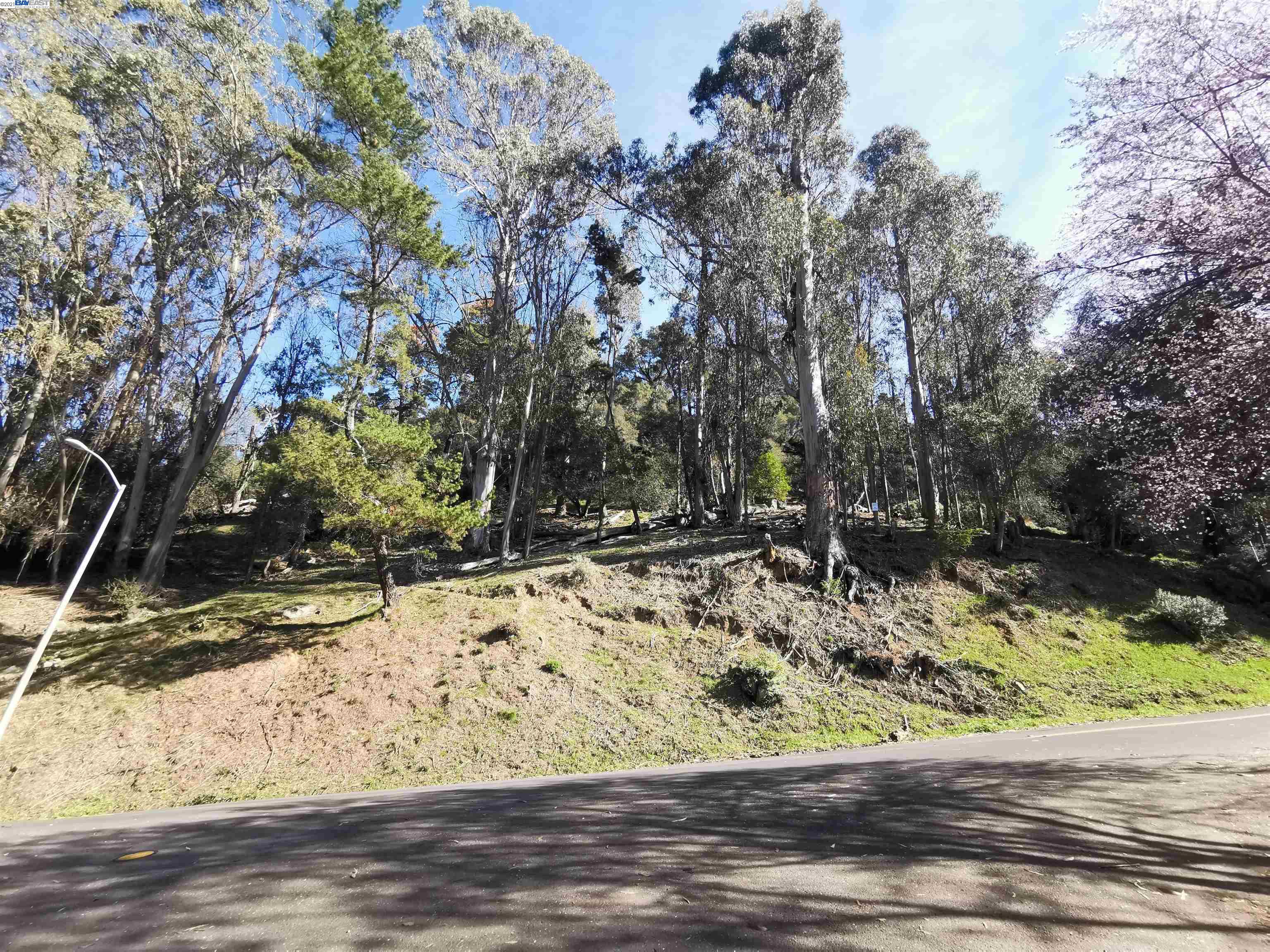 Ascot Dr., OAKLAND, California 94611, ,Lots And Land,For Sale,Ascot Dr.,40965595