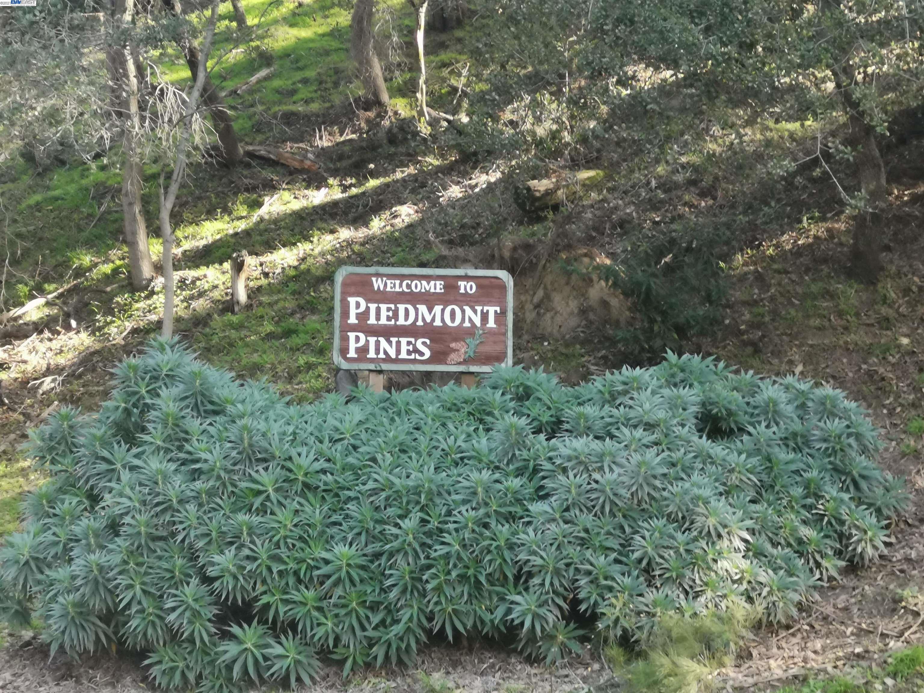 Ascot Dr., OAKLAND, California 94611, ,Lots And Land,For Sale,Ascot Dr.,40965595