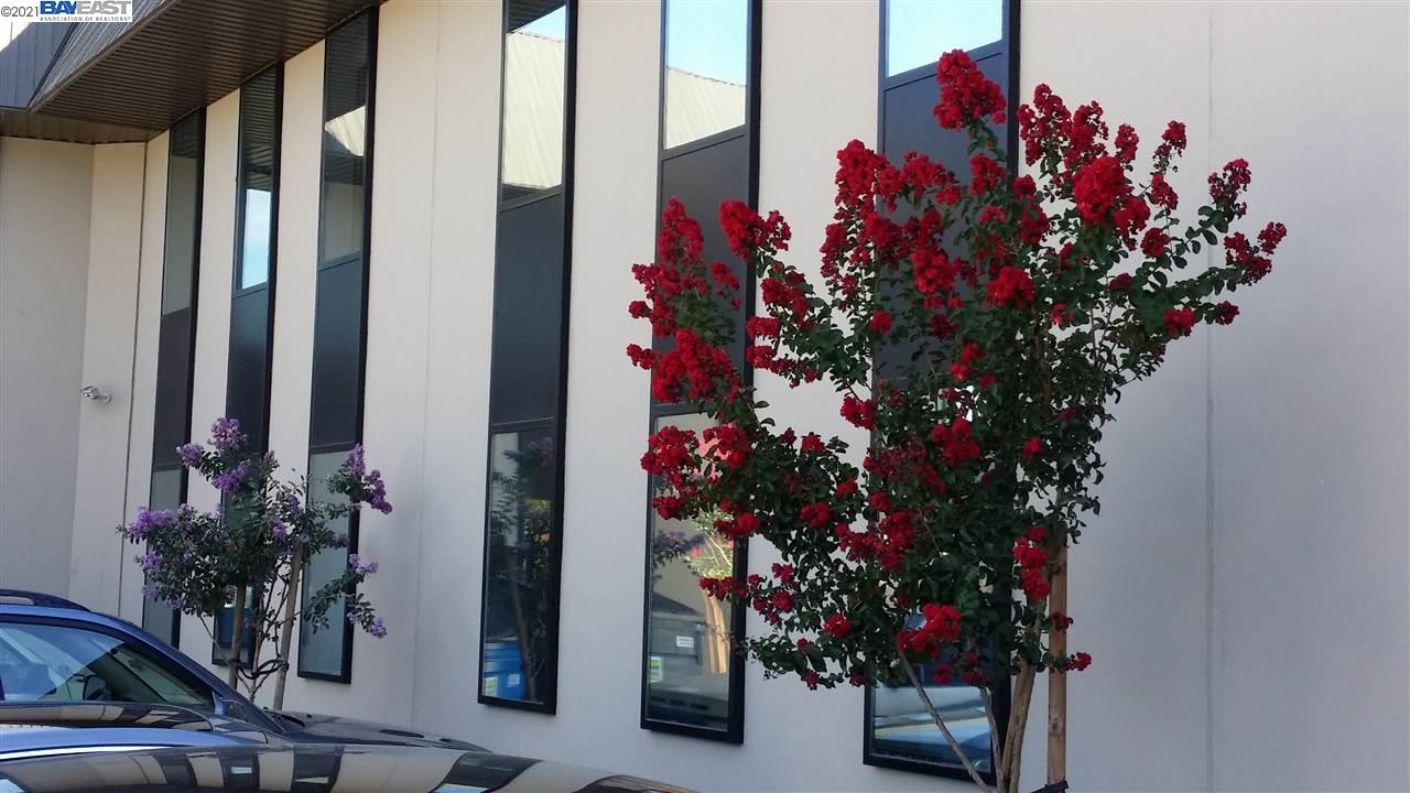 4047 1St St 237, LIVERMORE, California 94551, ,Comm Industrial For Lease,For Rent,1St St 237,40965604