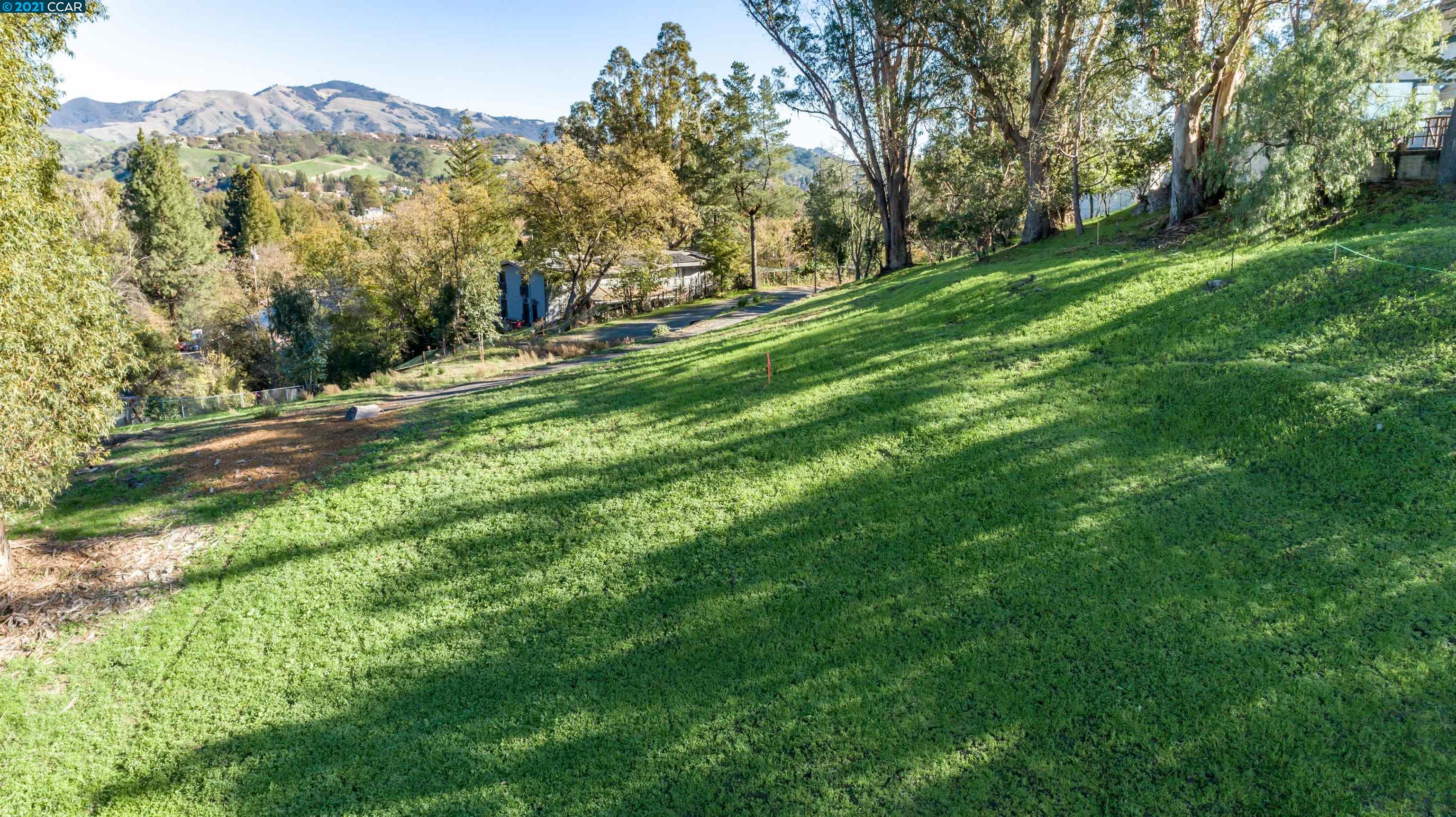 195 Vernal Dr, ALAMO, California 94507, ,Lots And Land,For Sale,Vernal Dr,40965662