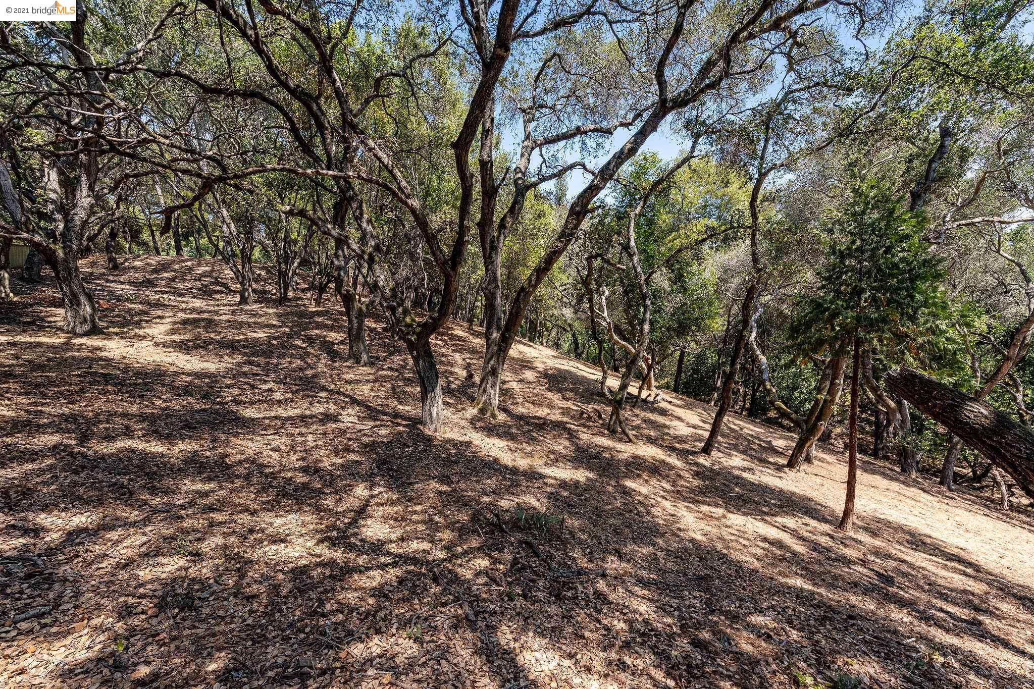 0 Mendenhall, OAKLAND, California 94605, ,Lots And Land,For Sale,Mendenhall,40965675
