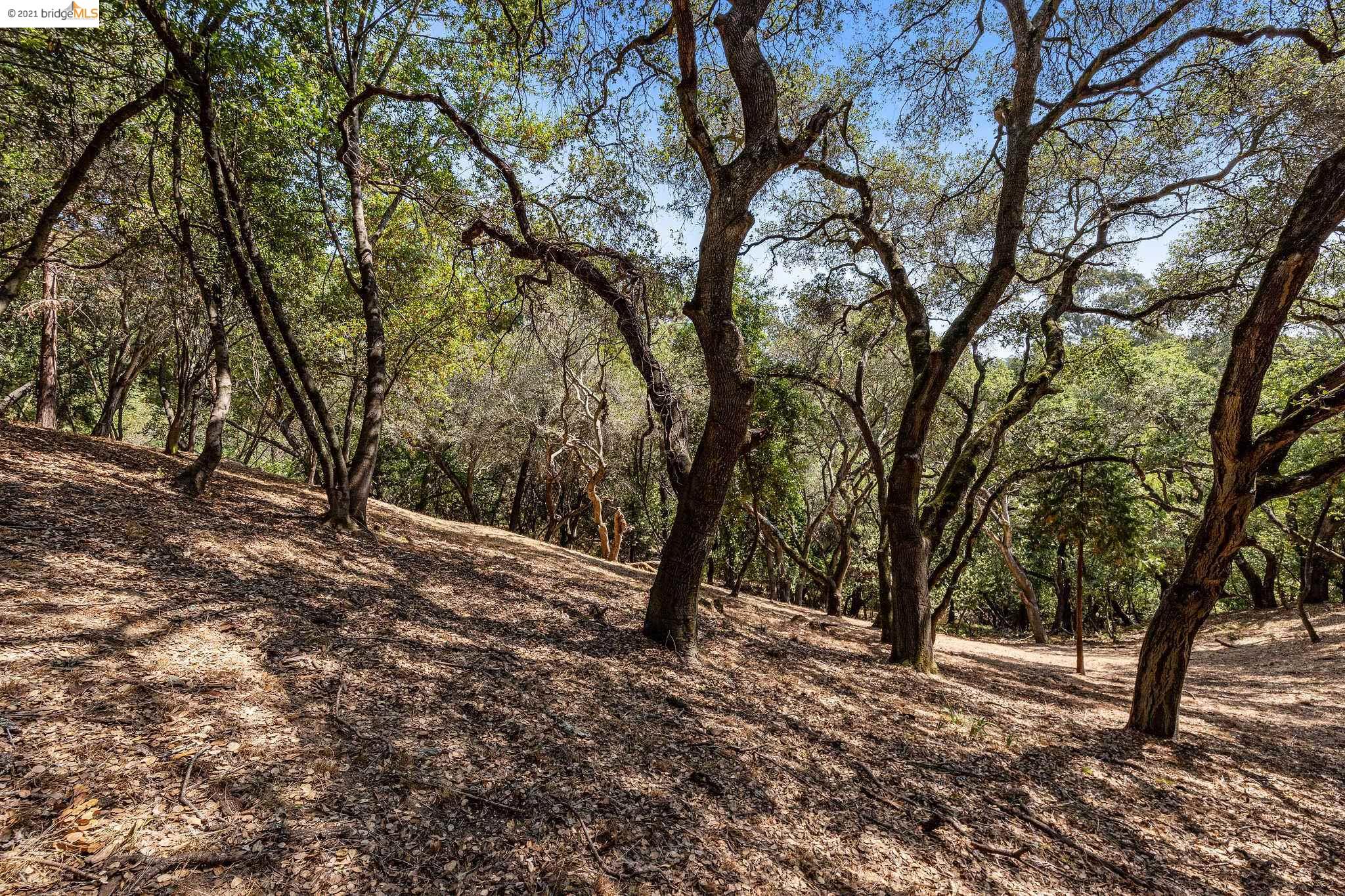0 Mendenhall, OAKLAND, California 94605, ,Lots And Land,For Sale,Mendenhall,40965675