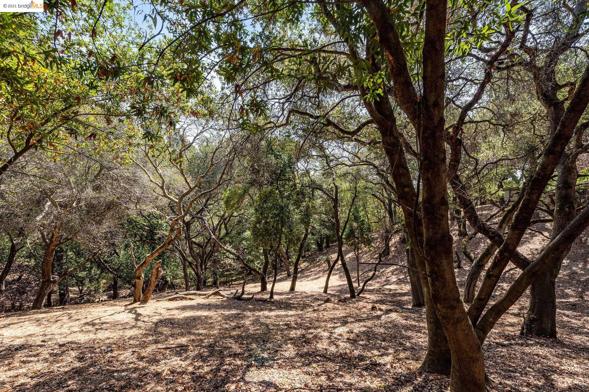 0 Mendenhall, OAKLAND, California 94605, ,Lots And Land,For Sale,Mendenhall,40965675