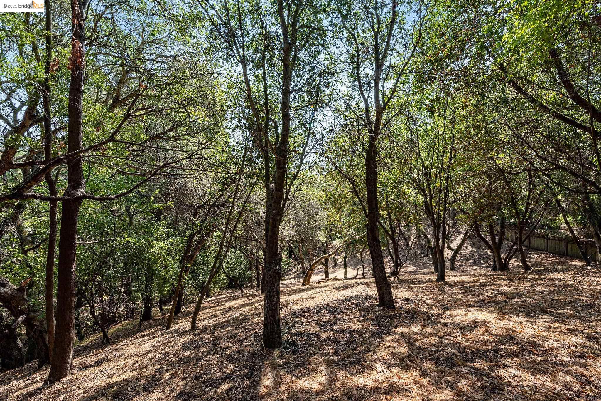 0 Mendenhall, OAKLAND, California 94605, ,Lots And Land,For Sale,Mendenhall,40965675