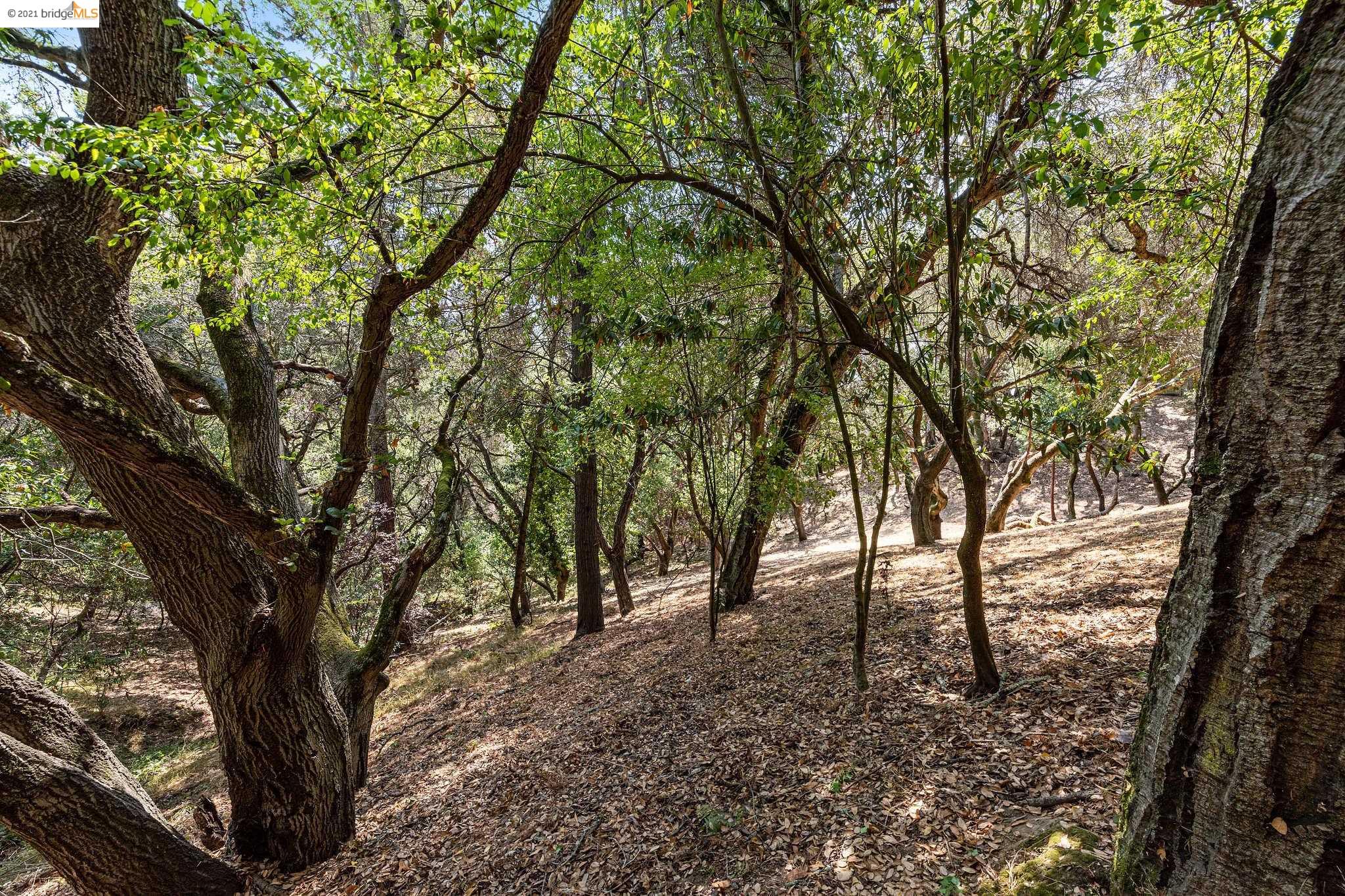 0 Mendenhall, OAKLAND, California 94605, ,Lots And Land,For Sale,Mendenhall,40965675
