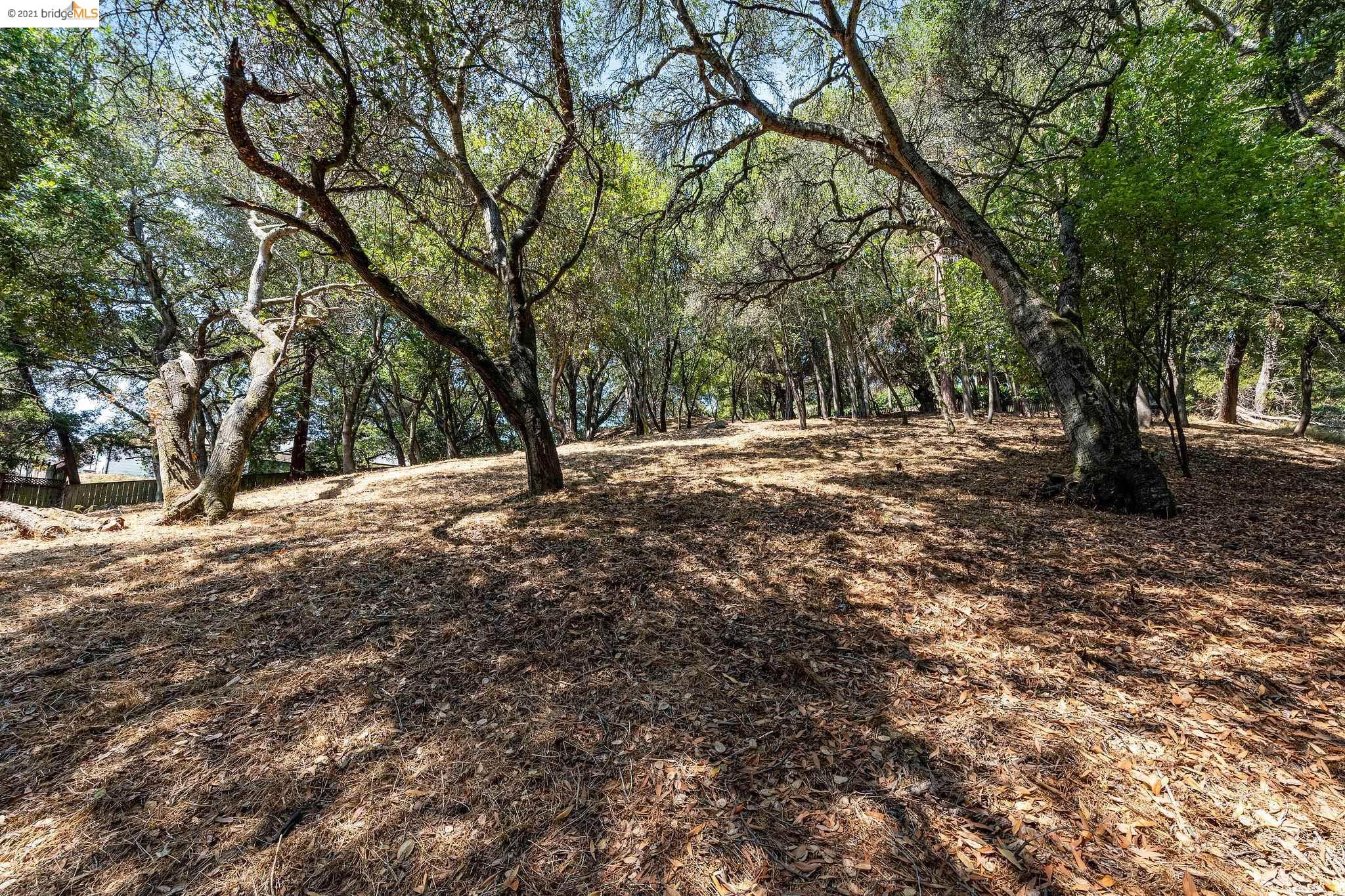 0 Mendenhall, OAKLAND, California 94605, ,Lots And Land,For Sale,Mendenhall,40965675