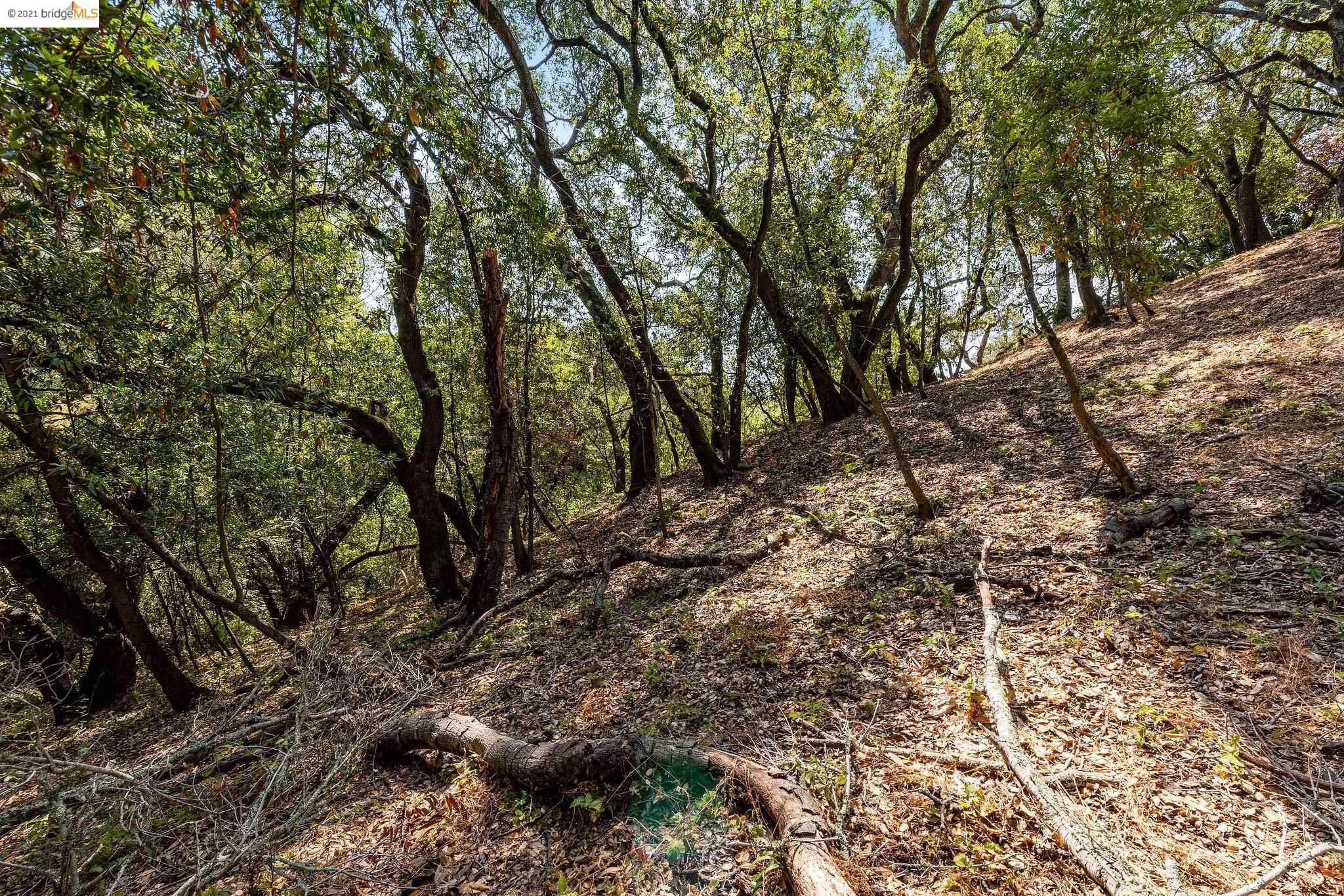 0 Mendenhall, OAKLAND, California 94605, ,Lots And Land,For Sale,Mendenhall,40965675