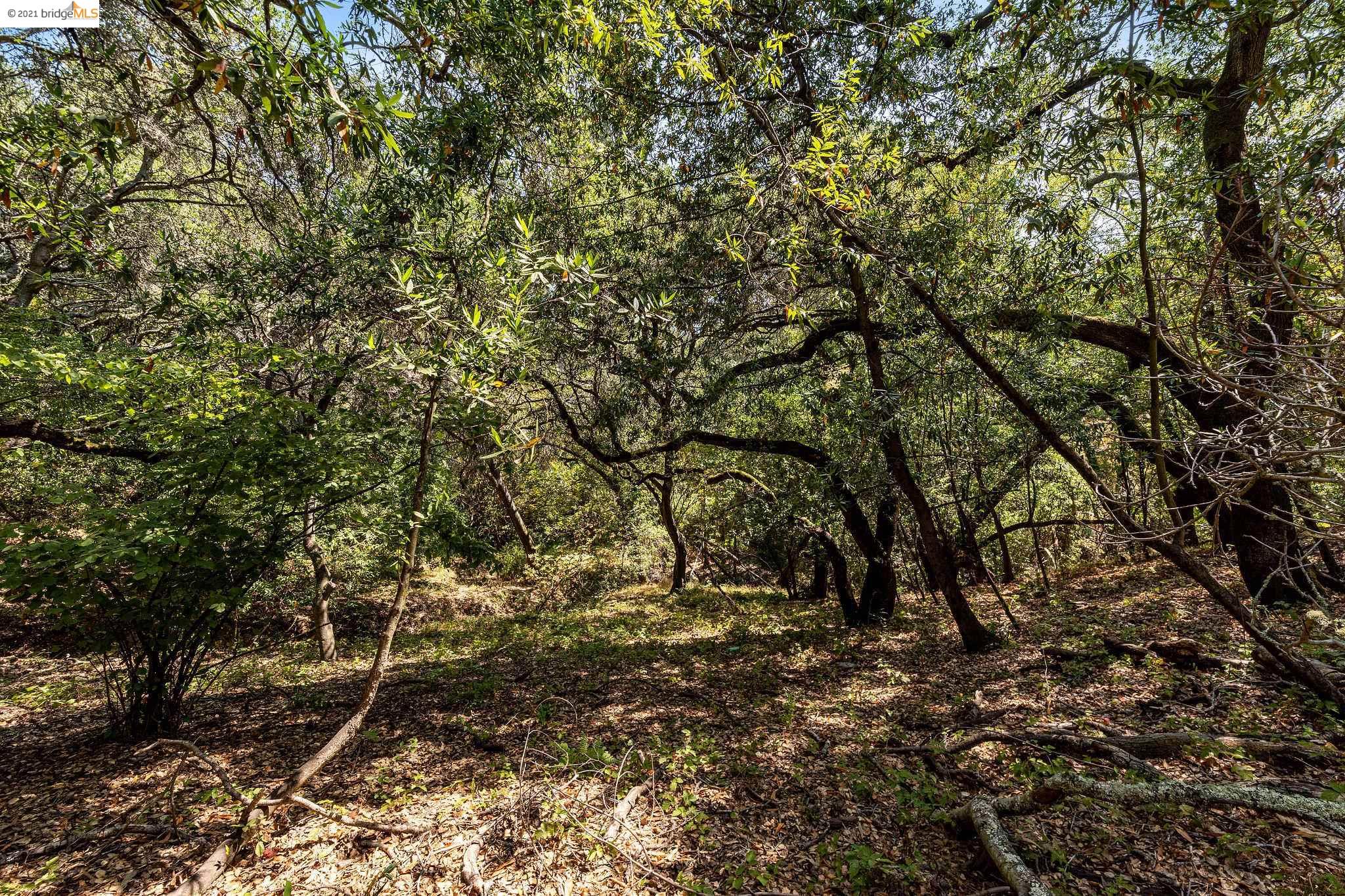 0 Mendenhall, OAKLAND, California 94605, ,Lots And Land,For Sale,Mendenhall,40965675
