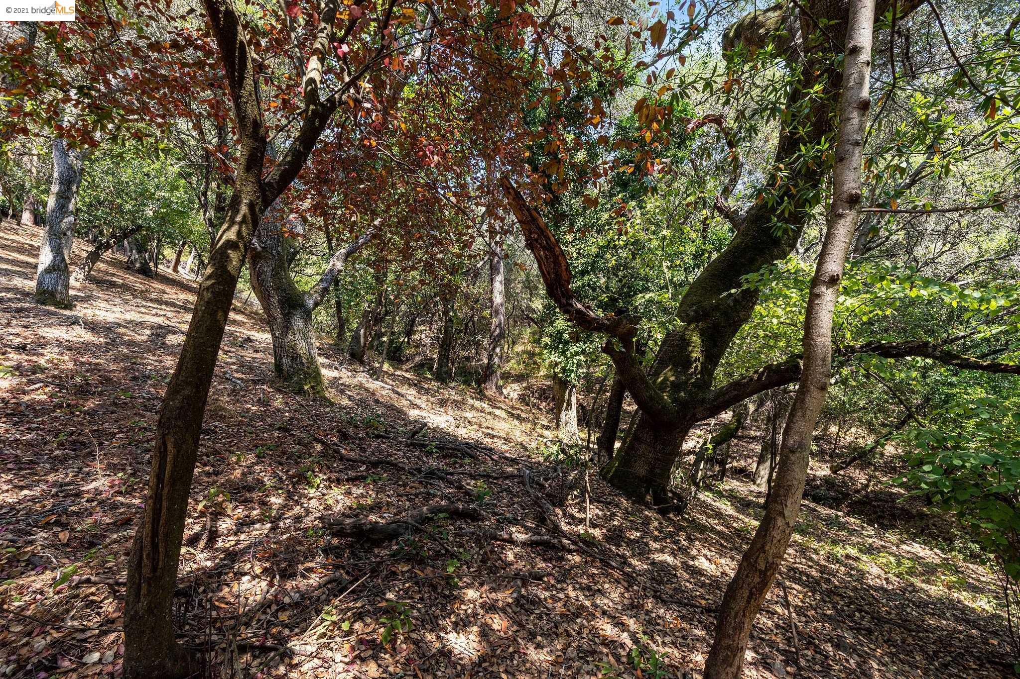 0 Mendenhall, OAKLAND, California 94605, ,Lots And Land,For Sale,Mendenhall,40965675