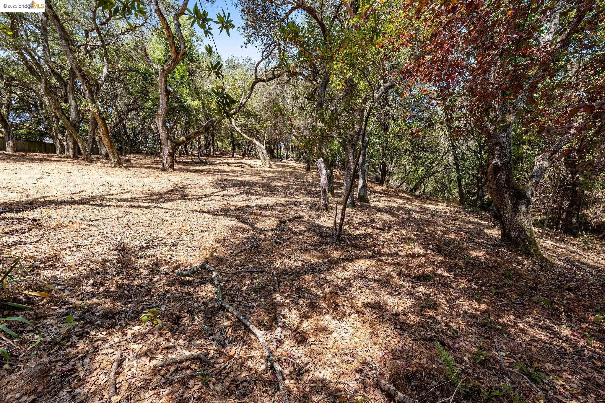 0 Mendenhall, OAKLAND, California 94605, ,Lots And Land,For Sale,Mendenhall,40965675