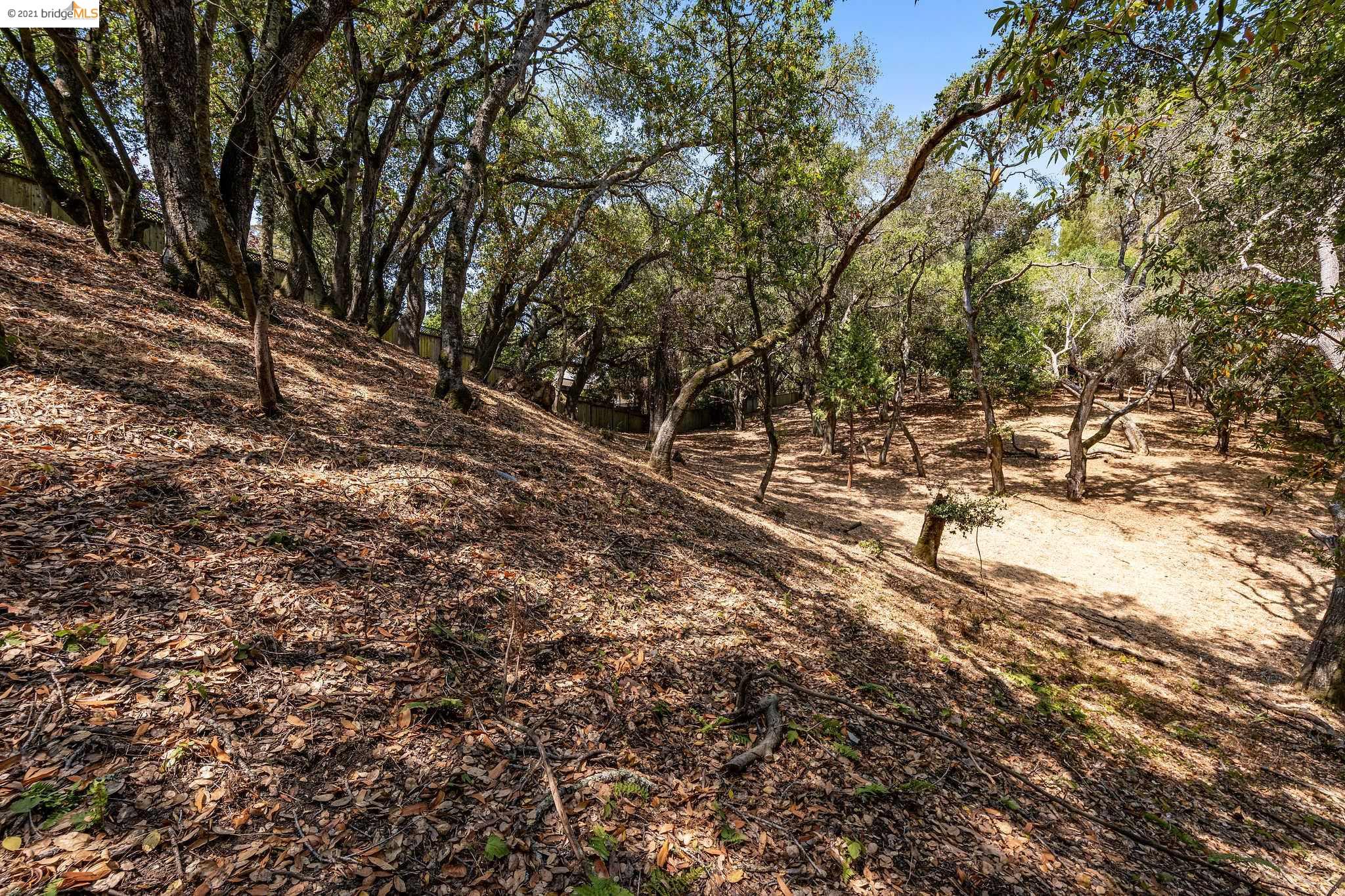 0 Mendenhall, OAKLAND, California 94605, ,Lots And Land,For Sale,Mendenhall,40965675