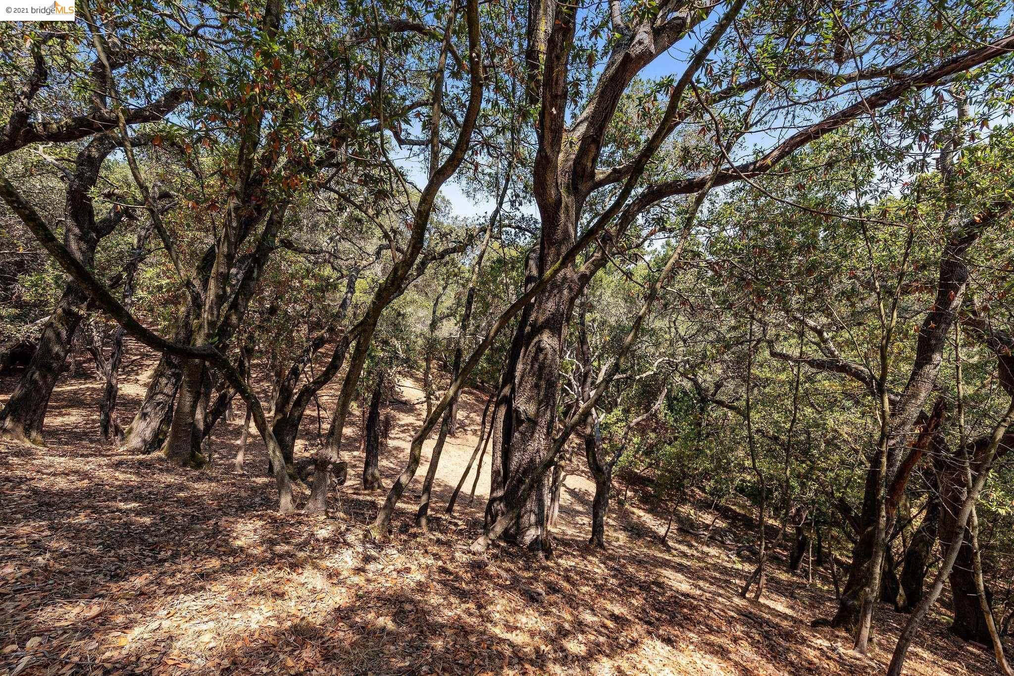 0 Mendenhall, OAKLAND, California 94605, ,Lots And Land,For Sale,Mendenhall,40965675