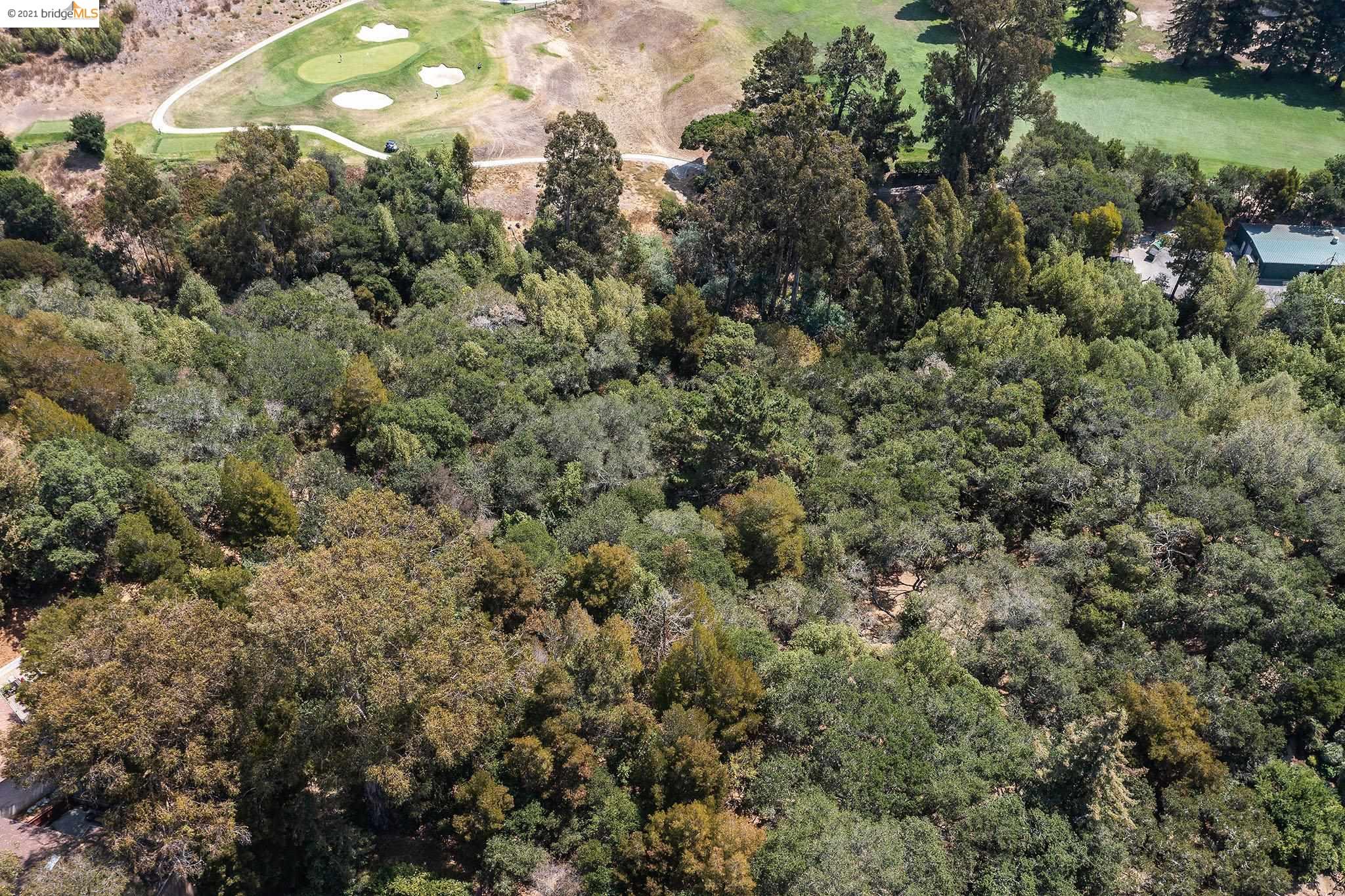 0 Mendenhall, OAKLAND, California 94605, ,Lots And Land,For Sale,Mendenhall,40965675