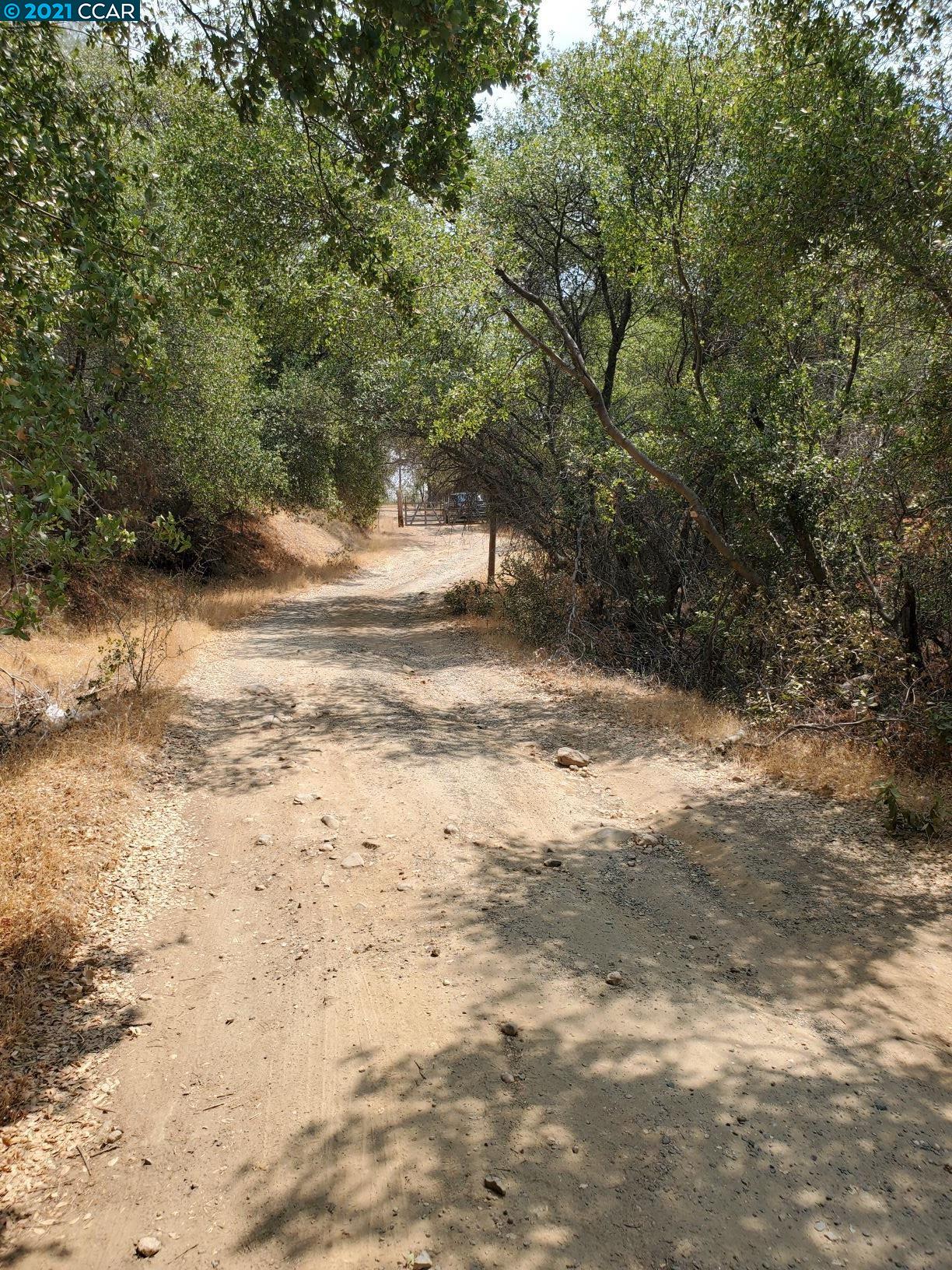 0 Wayman, OROVILLE, California 95966, ,Lots And Land,For Sale,Wayman,40965679