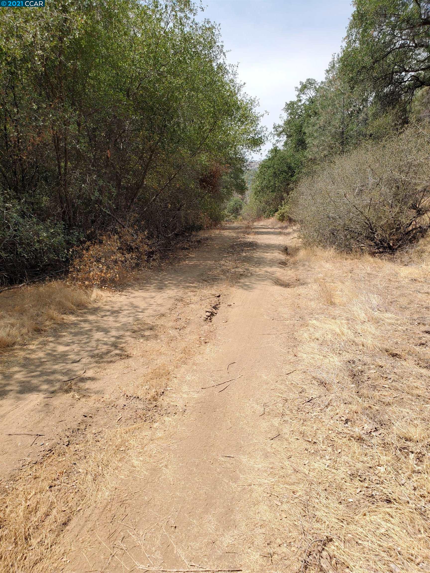 0 Wayman, OROVILLE, California 95966, ,Lots And Land,For Sale,Wayman,40965679