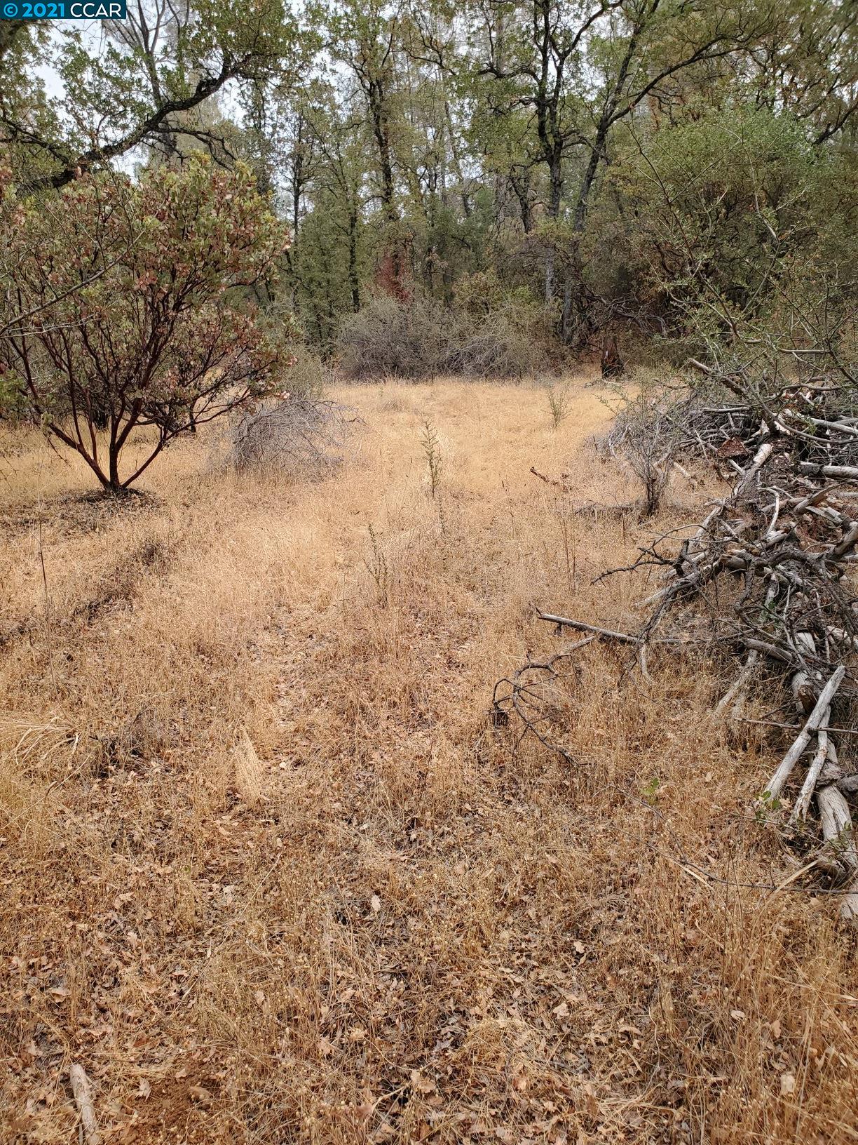 0 Wayman, OROVILLE, California 95966, ,Lots And Land,For Sale,Wayman,40965679