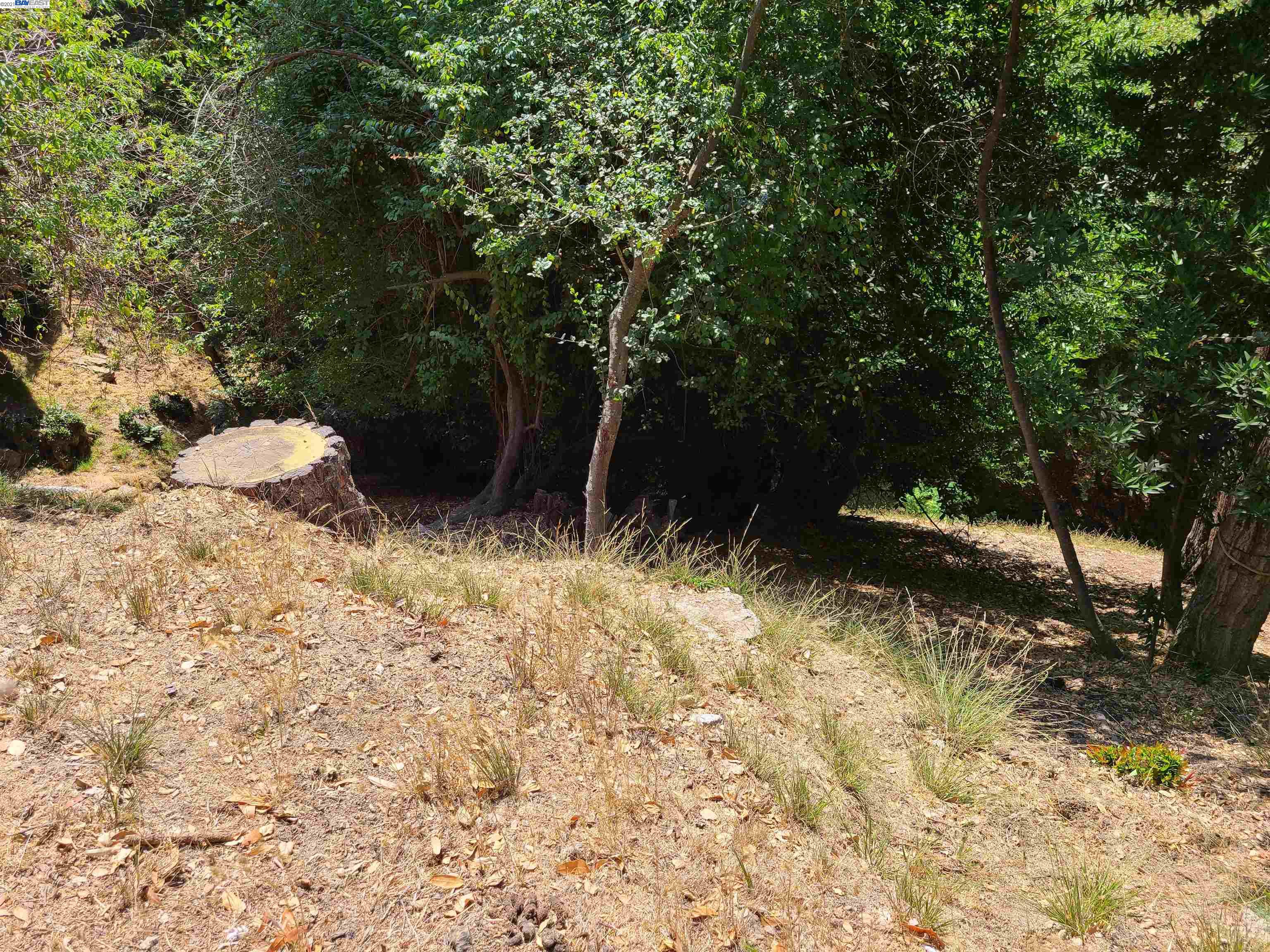 0 Chelsea Dr, OAKLAND, California 94603, ,Lots And Land,For Sale,Chelsea Dr,40965685