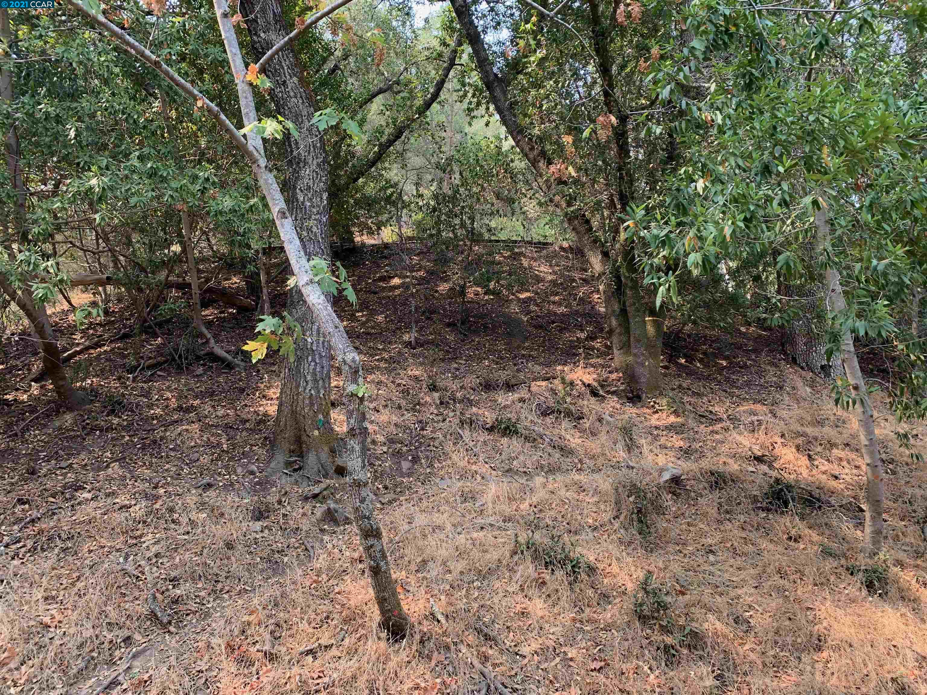 0 Glenora Way, SUNOL, California 94586, ,Lots And Land,For Sale,Glenora Way,40965735
