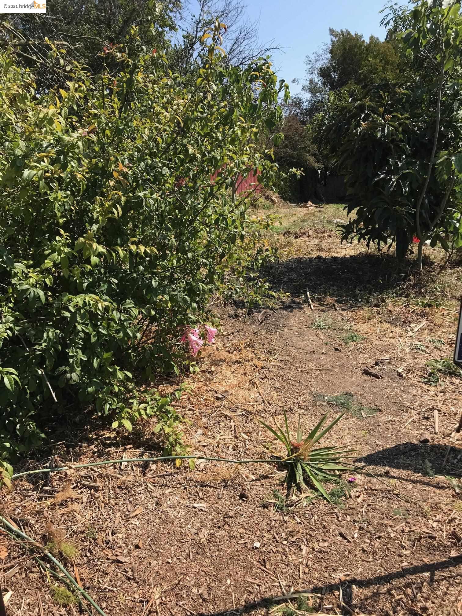 1376 Ashby Ave, BERKELEY, California 94702, ,Lots And Land,For Sale,Ashby Ave,40965767