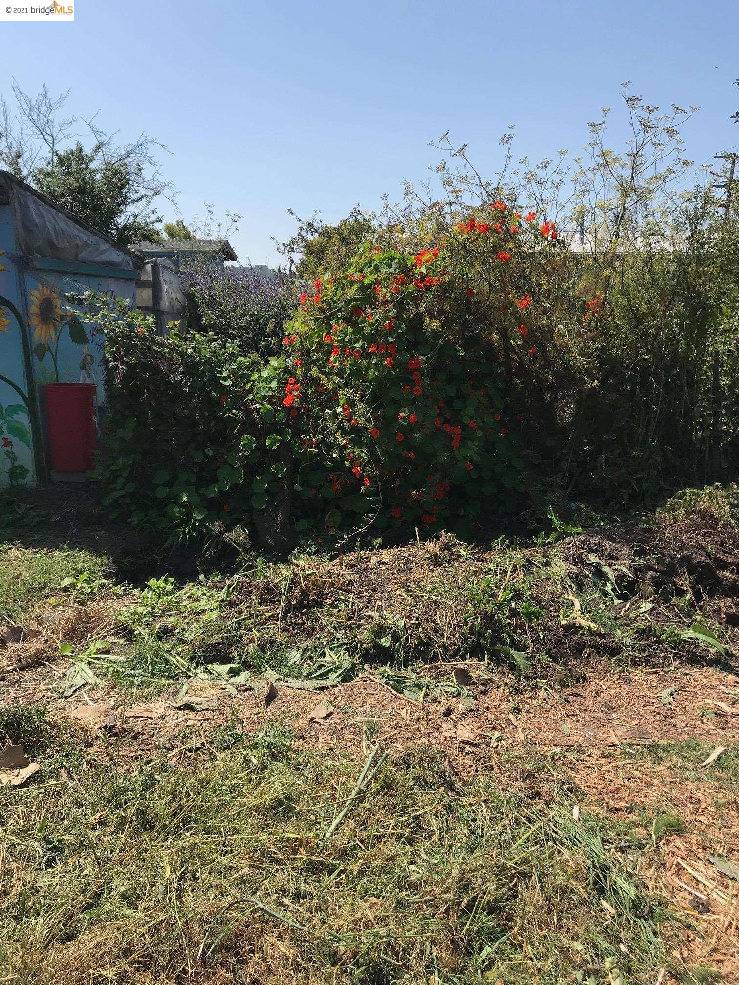 1376 Ashby Ave, BERKELEY, California 94702, ,Lots And Land,For Sale,Ashby Ave,40965767