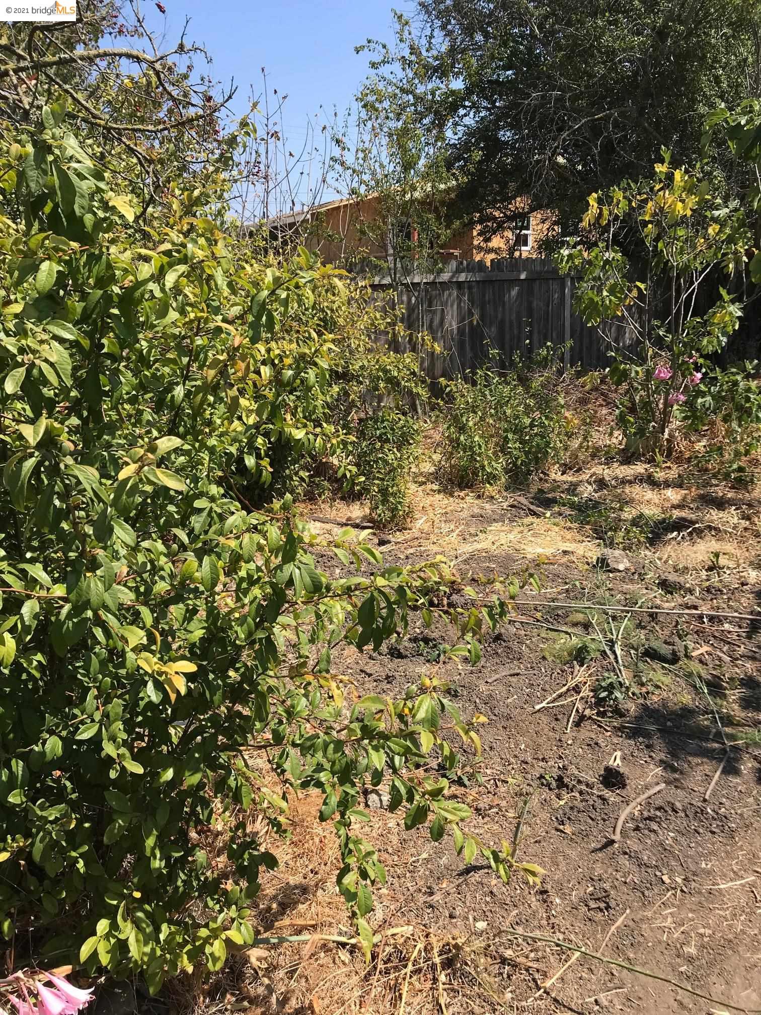 1376 Ashby Ave, BERKELEY, California 94702, ,Lots And Land,For Sale,Ashby Ave,40965767