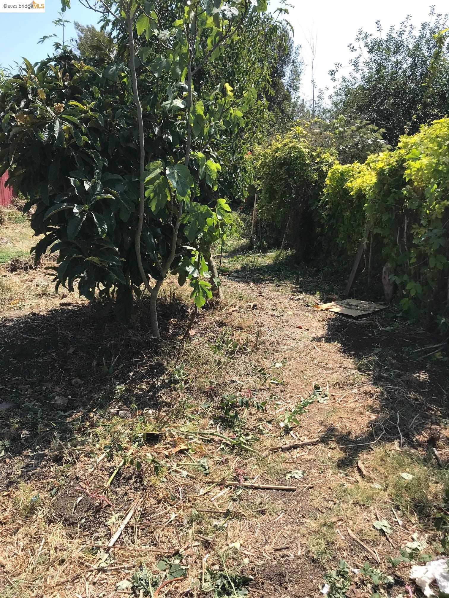1376 Ashby Ave, BERKELEY, California 94702, ,Lots And Land,For Sale,Ashby Ave,40965767
