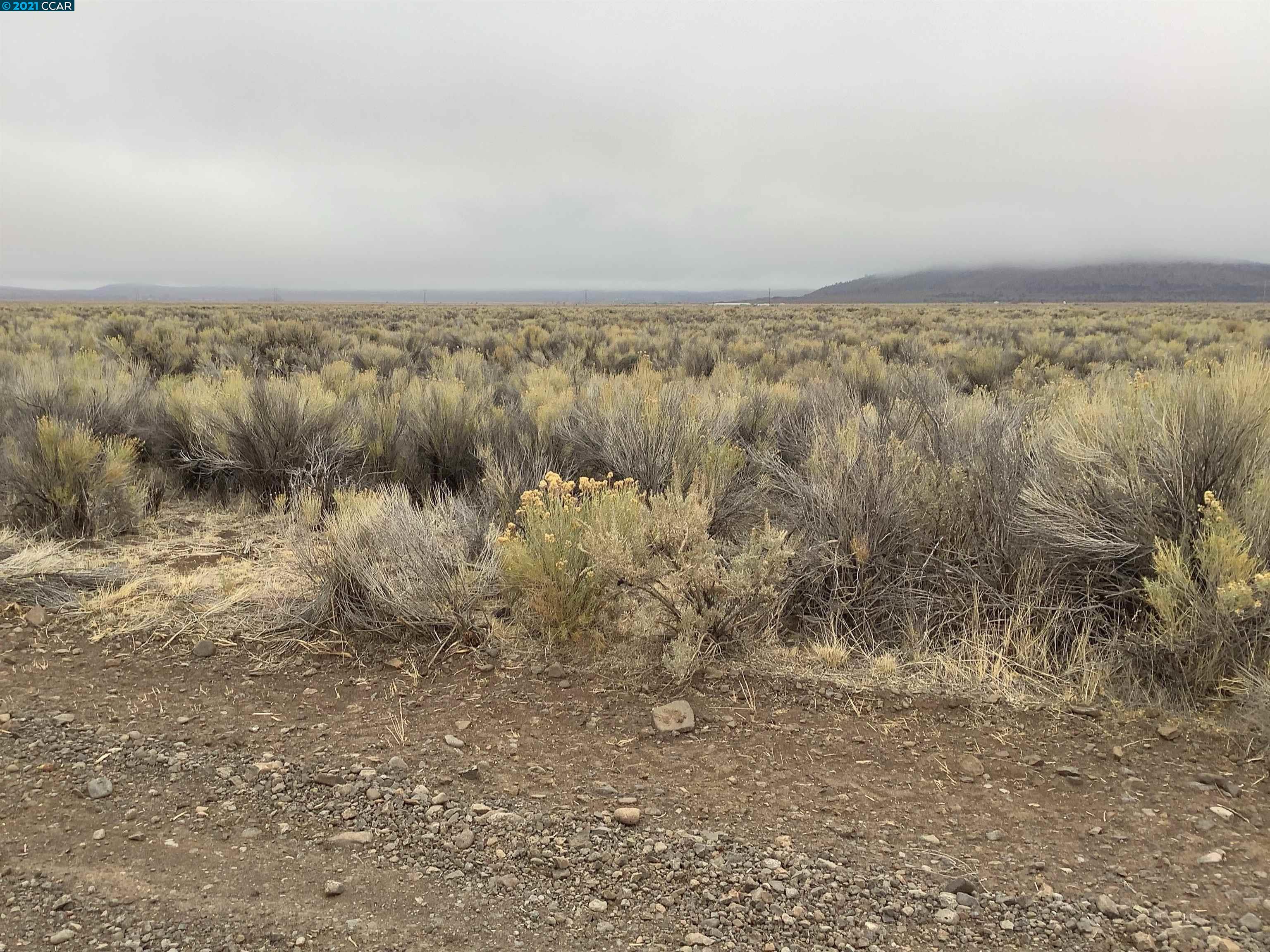 543825 Longhorn Dr, SUSANVILLE, California 96119, ,Lots And Land,For Sale,Longhorn Dr,40965784