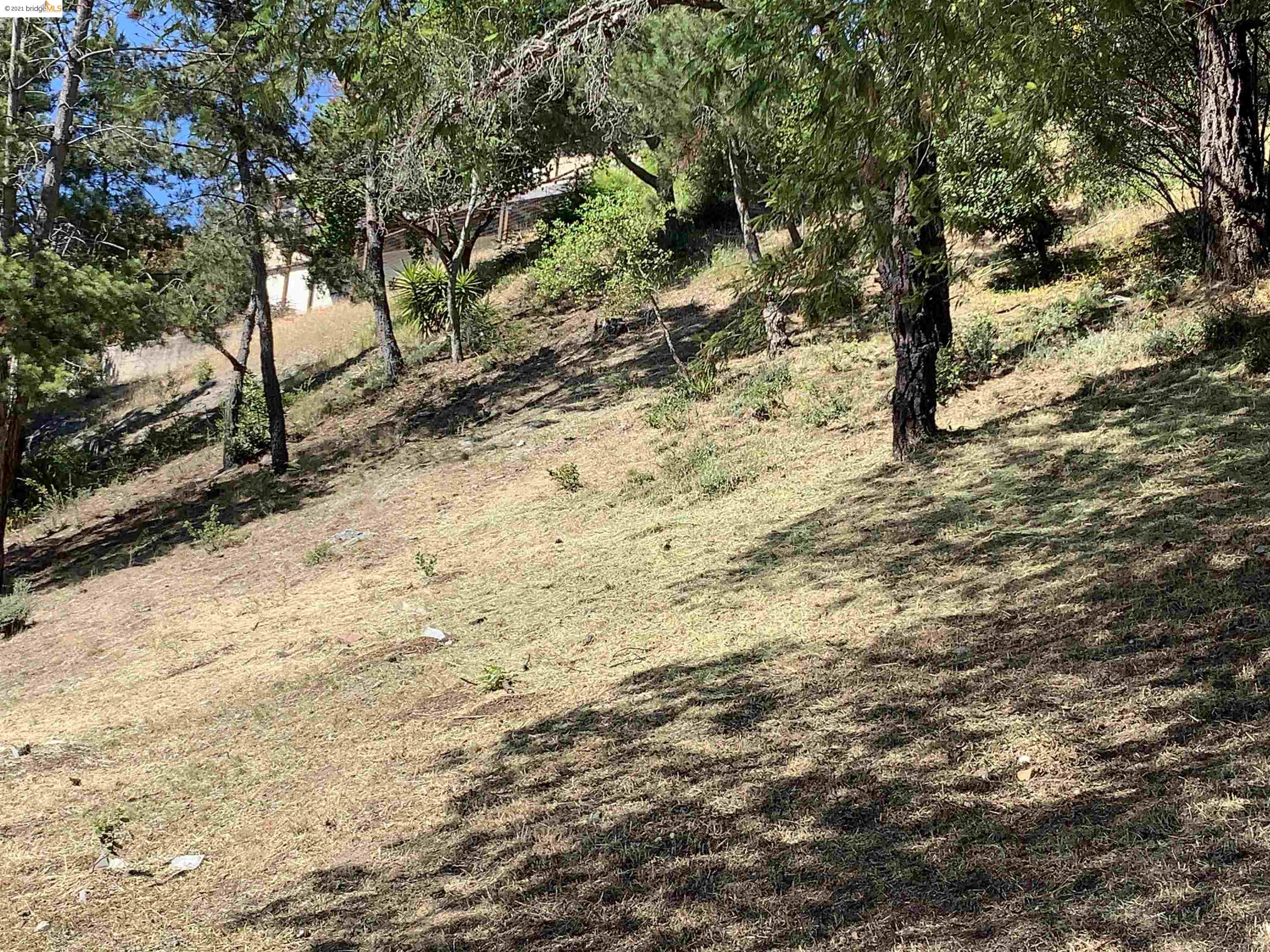 Colgett Dr, OAKLAND, California 94619, ,Lots And Land,For Sale,Colgett Dr,40965805