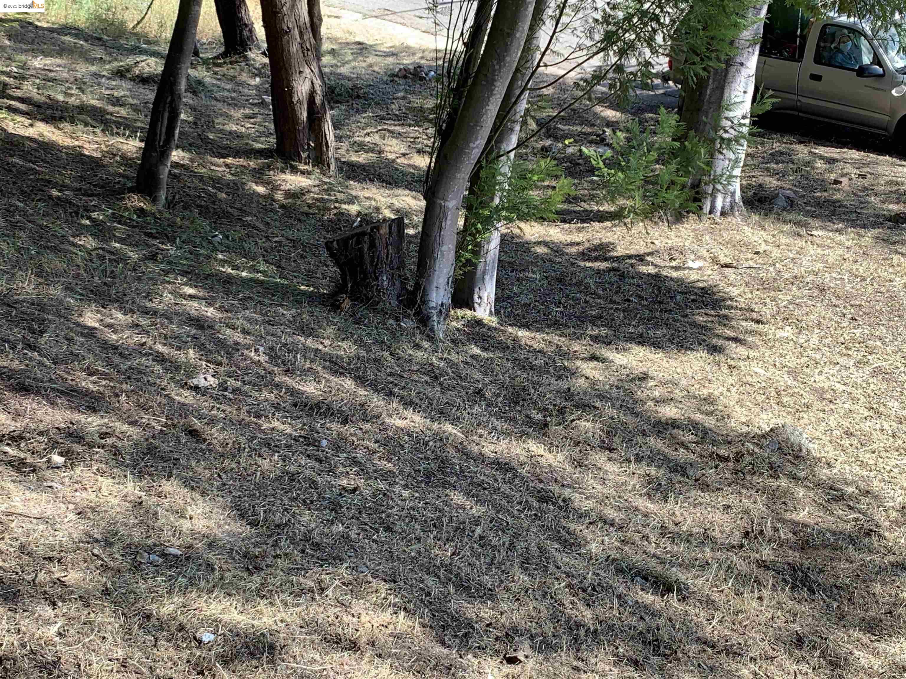 Colgett Dr, OAKLAND, California 94619, ,Lots And Land,For Sale,Colgett Dr,40965805