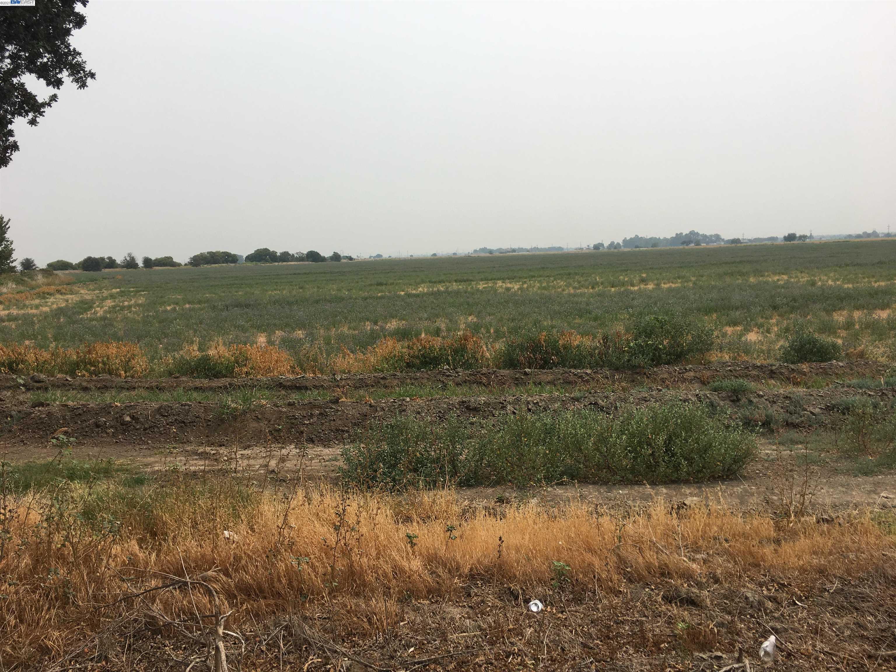 19200 Lammers Rd, TRACY, California 95304, ,Comm Lots And Land,For Sale,Lammers Rd,40965803