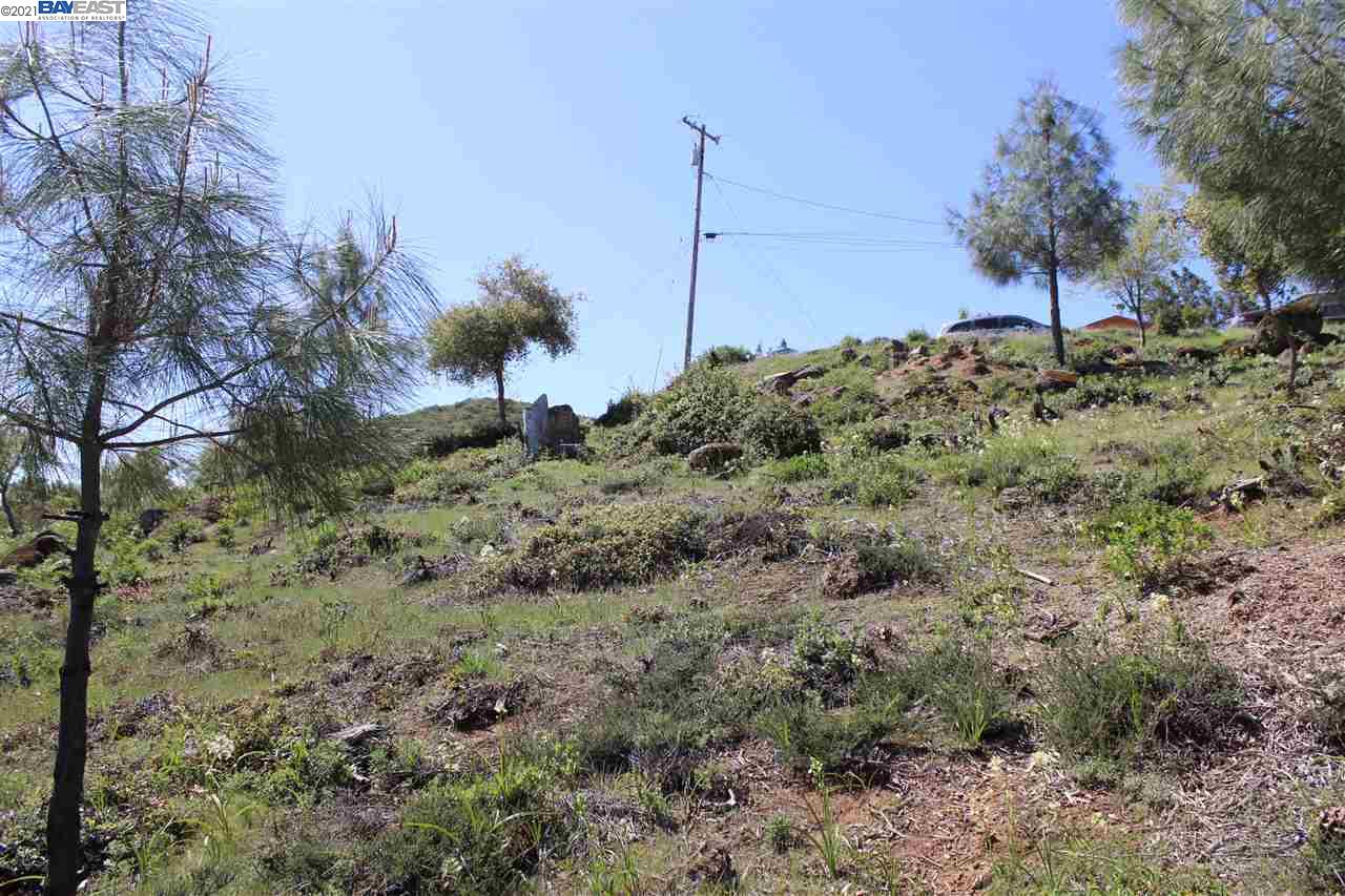 9836 Pinon Way, KELSEYVILLE, California 95451, ,Lots And Land,For Sale,Pinon Way,40965806