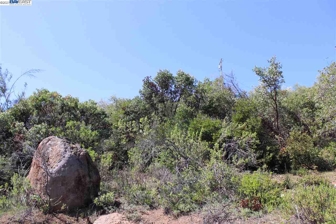 9836 Pinon Way, KELSEYVILLE, California 95451, ,Lots And Land,For Sale,Pinon Way,40965806
