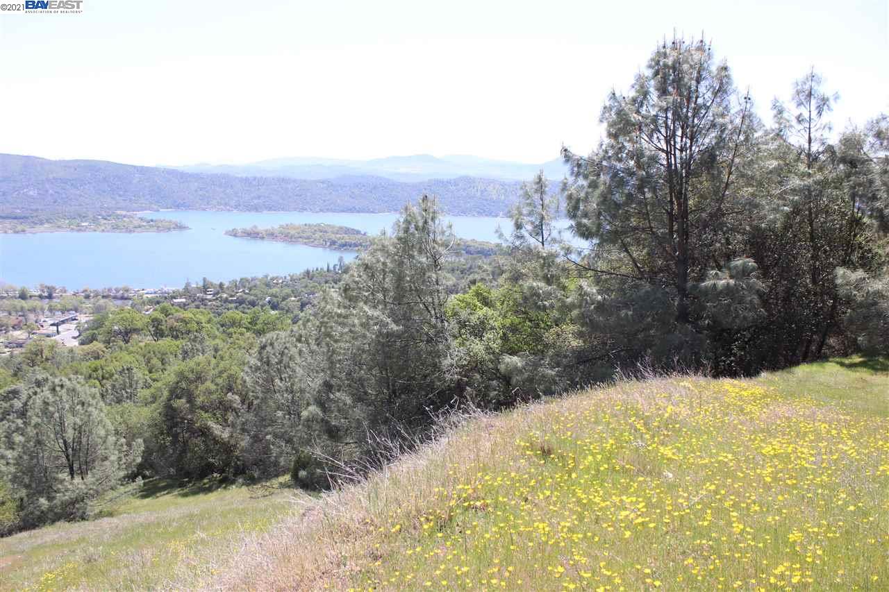 12403 Alta Vista Dr, CLEARLAKE OAKS, California 95423, ,Lots And Land,For Sale,Alta Vista Dr,40965807