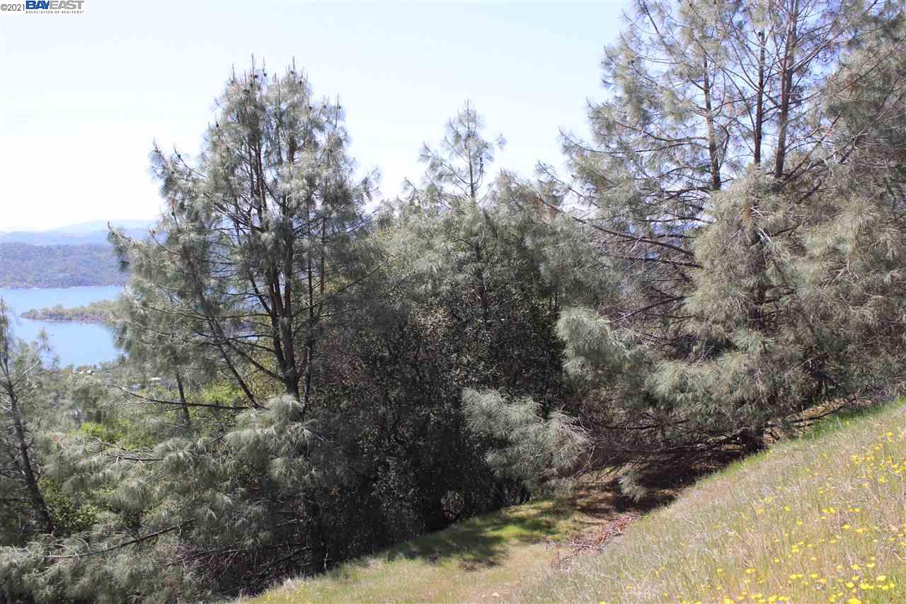 12403 Alta Vista Dr, CLEARLAKE OAKS, California 95423, ,Lots And Land,For Sale,Alta Vista Dr,40965807