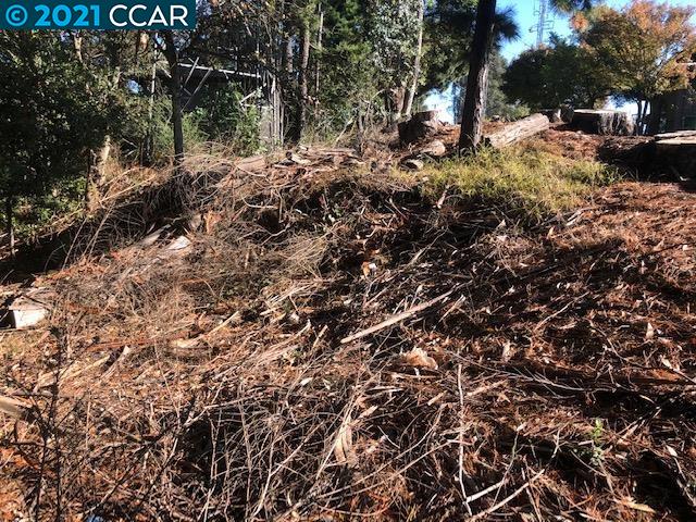 Diablo Dr, ORINDA, California 94563, ,Lots And Land,For Sale,Diablo Dr,40966271