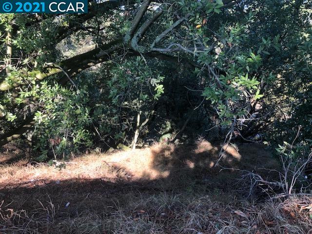 Diablo Dr, ORINDA, California 94563, ,Lots And Land,For Sale,Diablo Dr,40966271