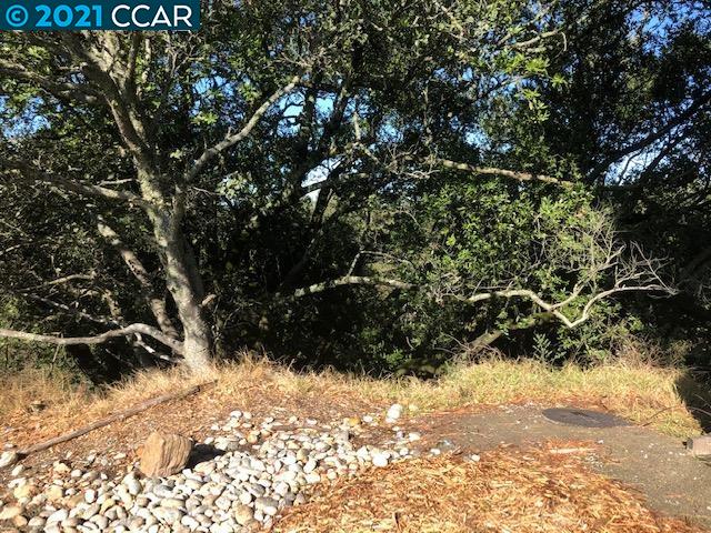 Diablo Dr, ORINDA, California 94563, ,Lots And Land,For Sale,Diablo Dr,40966271