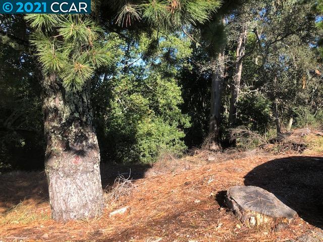 Diablo Dr, ORINDA, California 94563, ,Lots And Land,For Sale,Diablo Dr,40966271