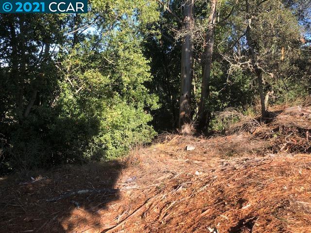 Diablo Dr, ORINDA, California 94563, ,Lots And Land,For Sale,Diablo Dr,40966271