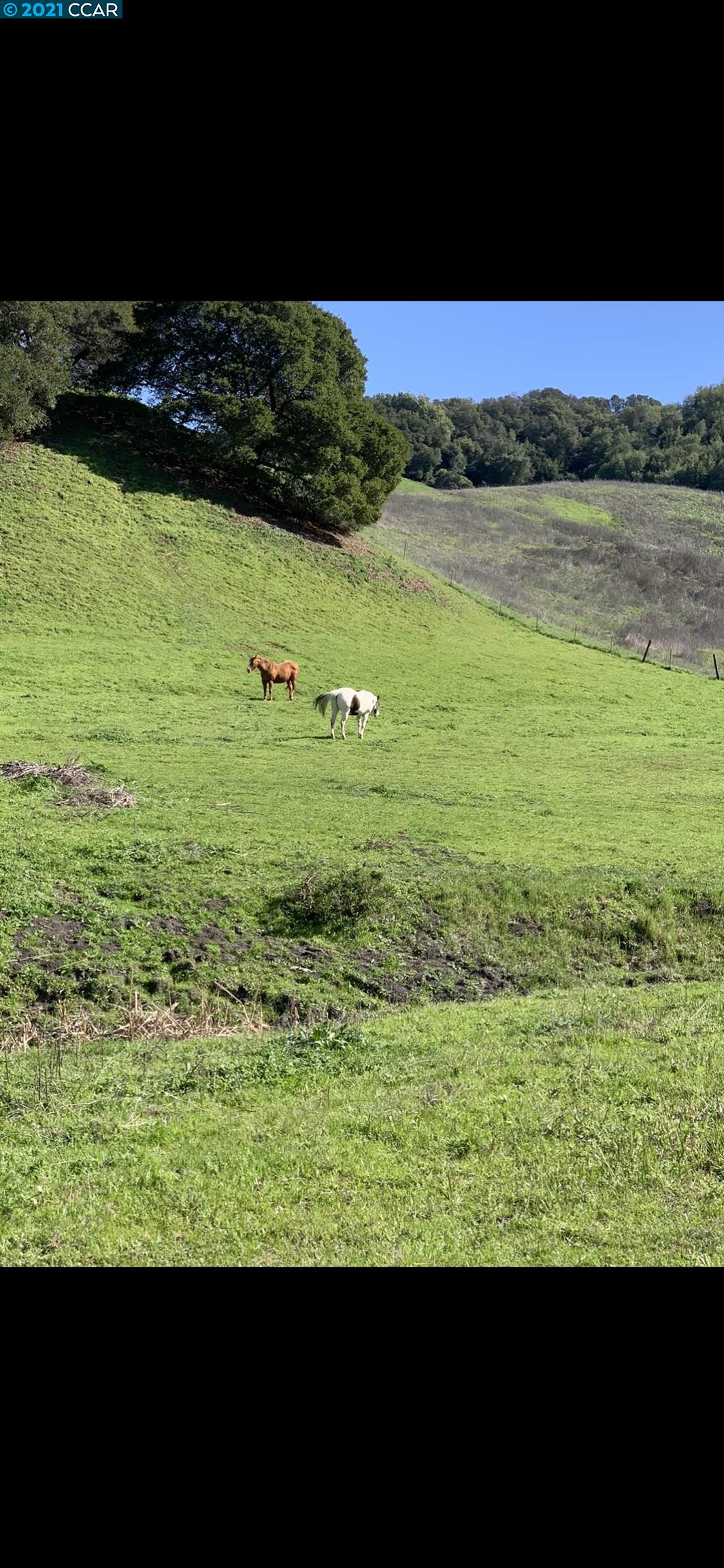 1135 Christie, MARTINEZ, California 94553, ,Lots And Land,For Sale,Christie,40967422
