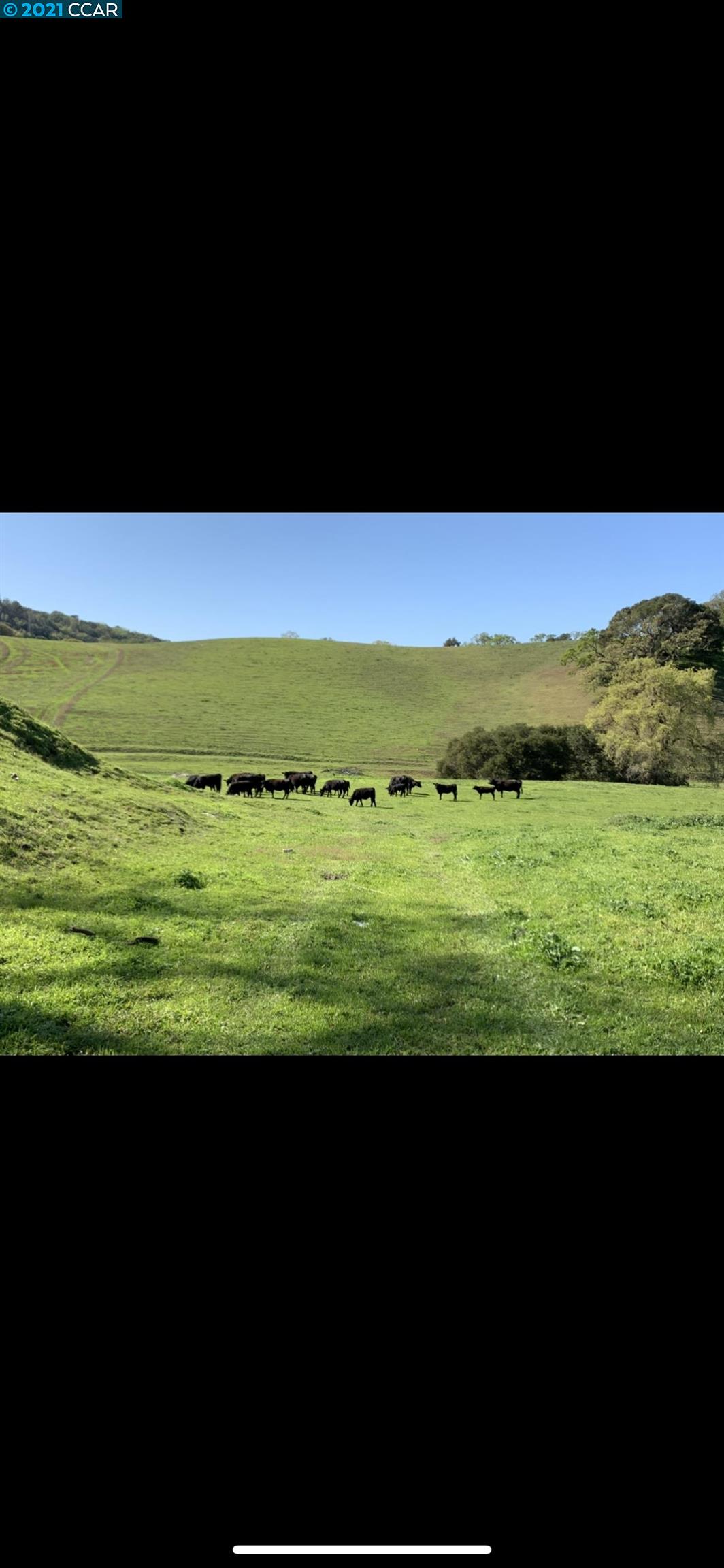 1135 Christie, MARTINEZ, California 94553, ,Lots And Land,For Sale,Christie,40967422