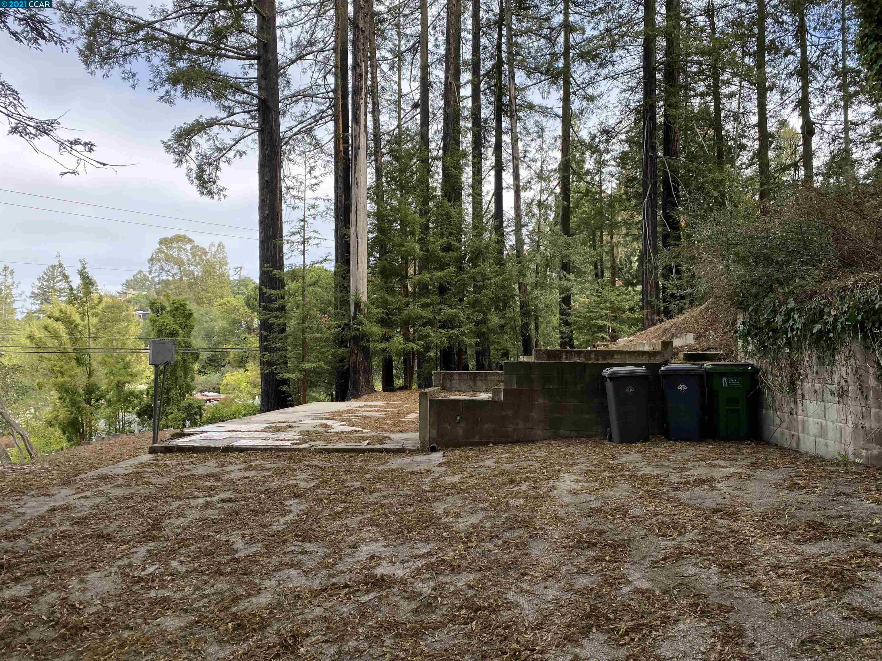 98 Avenida Dr, BERKELEY, California 94708, ,Lots And Land,For Sale,Avenida Dr,40967435