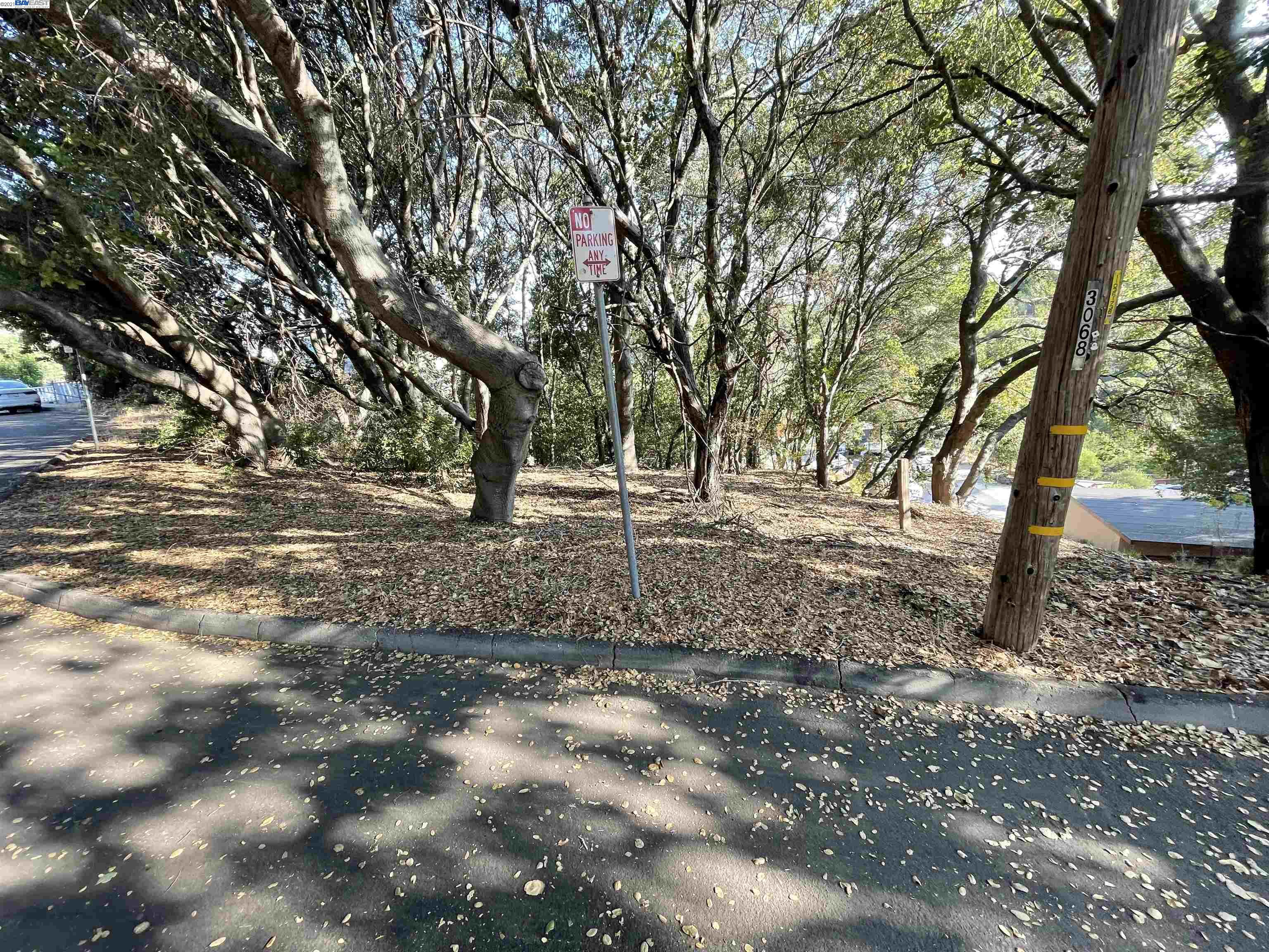 25265 Morse Court, HAYWARD, California 94544, ,Lots And Land,For Sale,Morse Court,40967453
