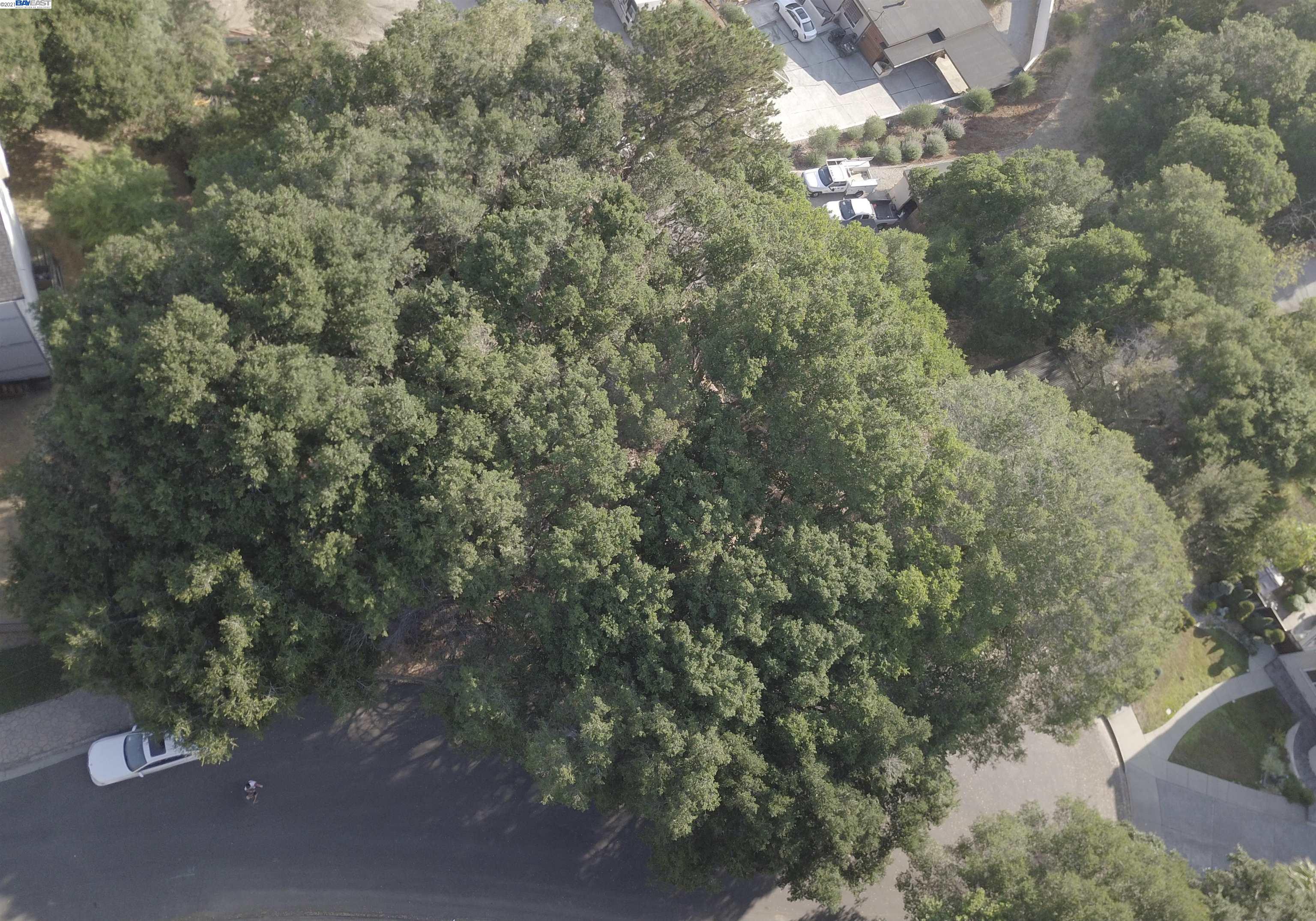 25265 Morse Court, HAYWARD, California 94544, ,Lots And Land,For Sale,Morse Court,40967453
