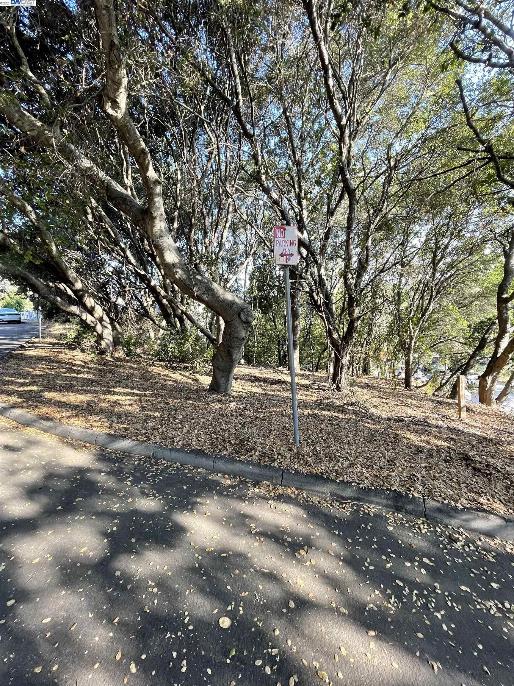 25265 Morse Court, HAYWARD, California 94544, ,Lots And Land,For Sale,Morse Court,40967453