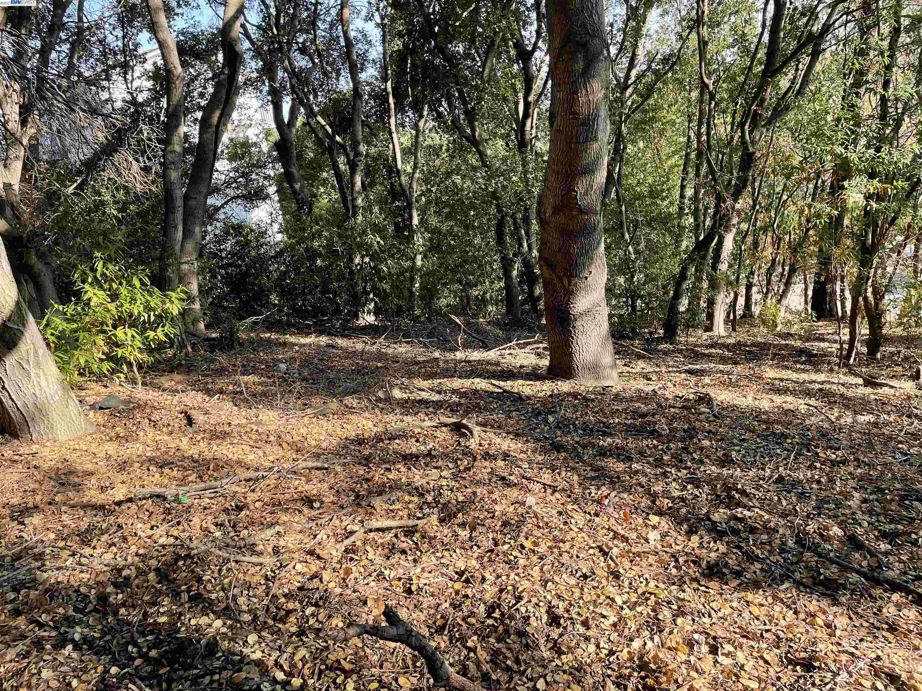 25265 Morse Court, HAYWARD, California 94544, ,Lots And Land,For Sale,Morse Court,40967453