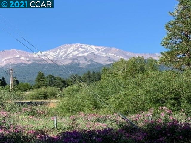0 Vacant Land, MOUNT SHASTA, California 96067, ,Lots And Land,For Sale,Vacant Land,40967474