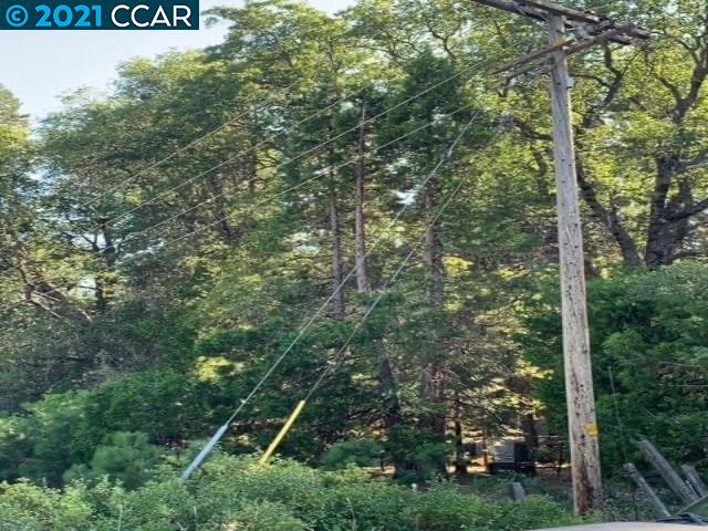 0 Vacant Land, MOUNT SHASTA, California 96067, ,Lots And Land,For Sale,Vacant Land,40967474